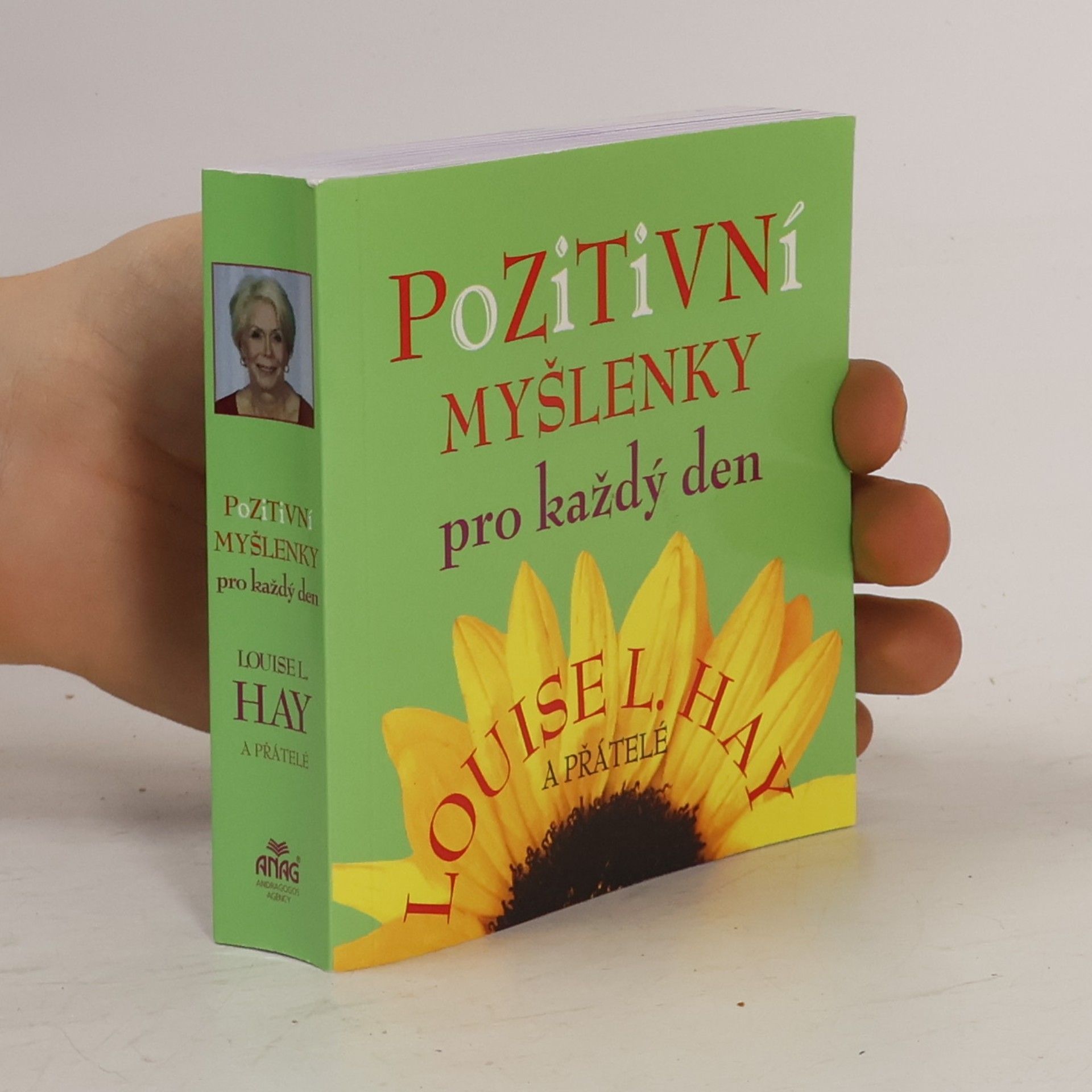 Louise Lynn Hay Pozitivní myšlenky pro každý den