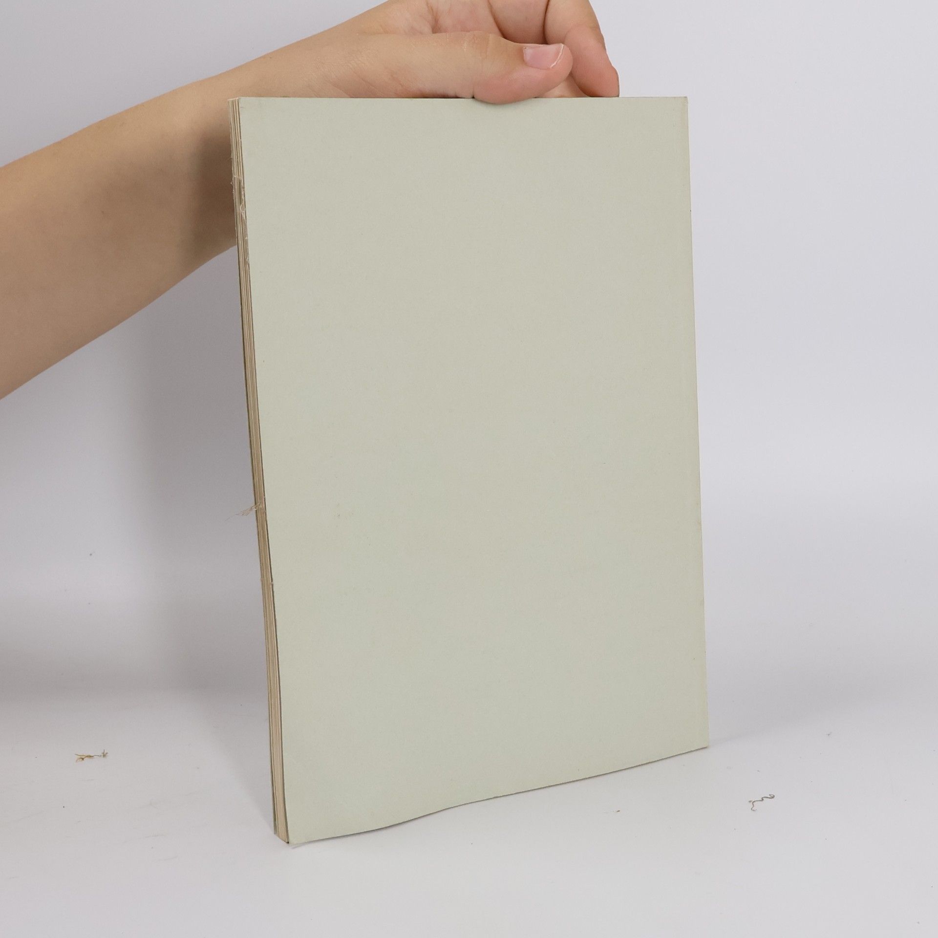 kolektiv Alte und Neue Kunst 10