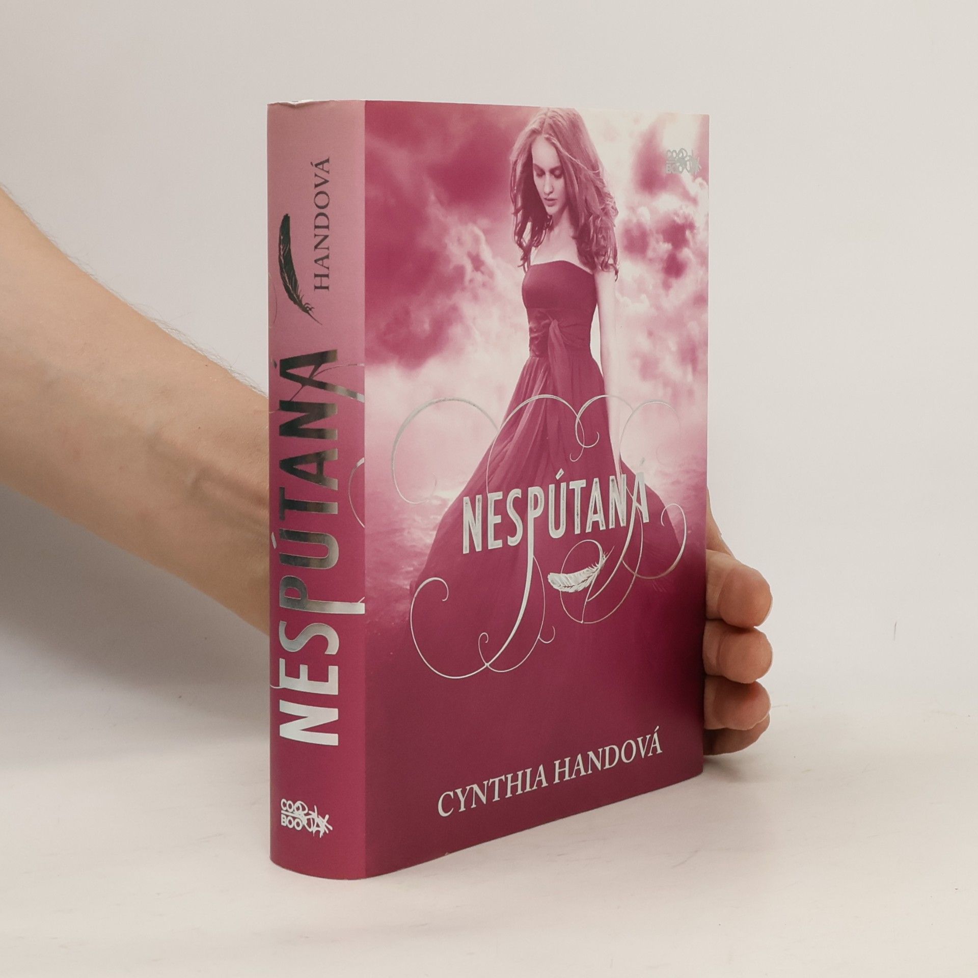 Cynthia Hand Nespútaná