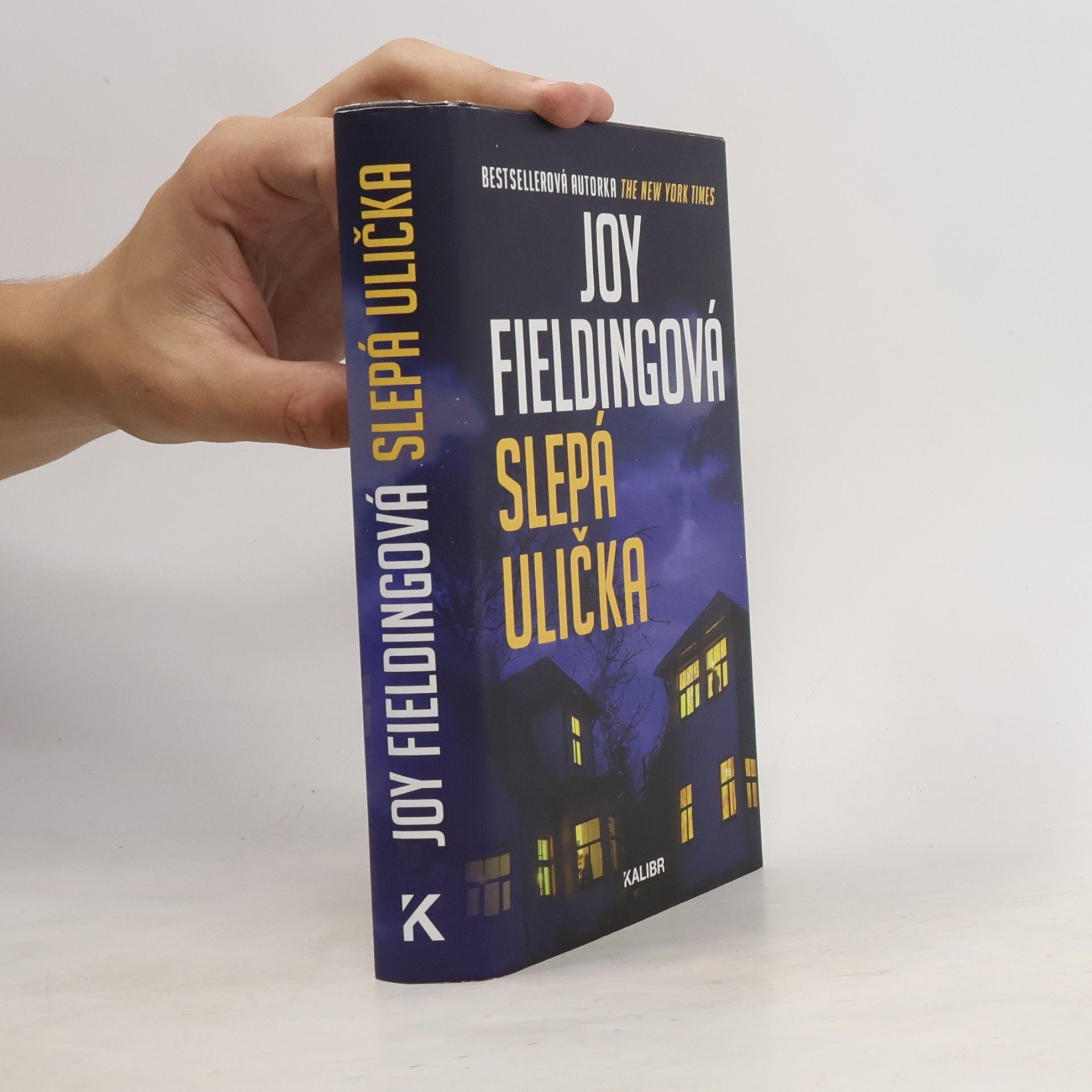 Joy Fielding Slepá ulička