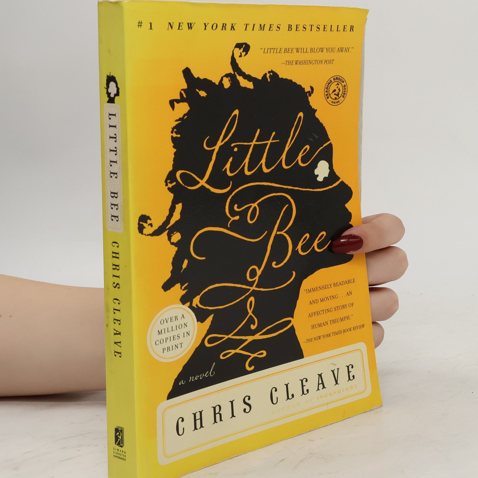 Chris Cleave Little Bee