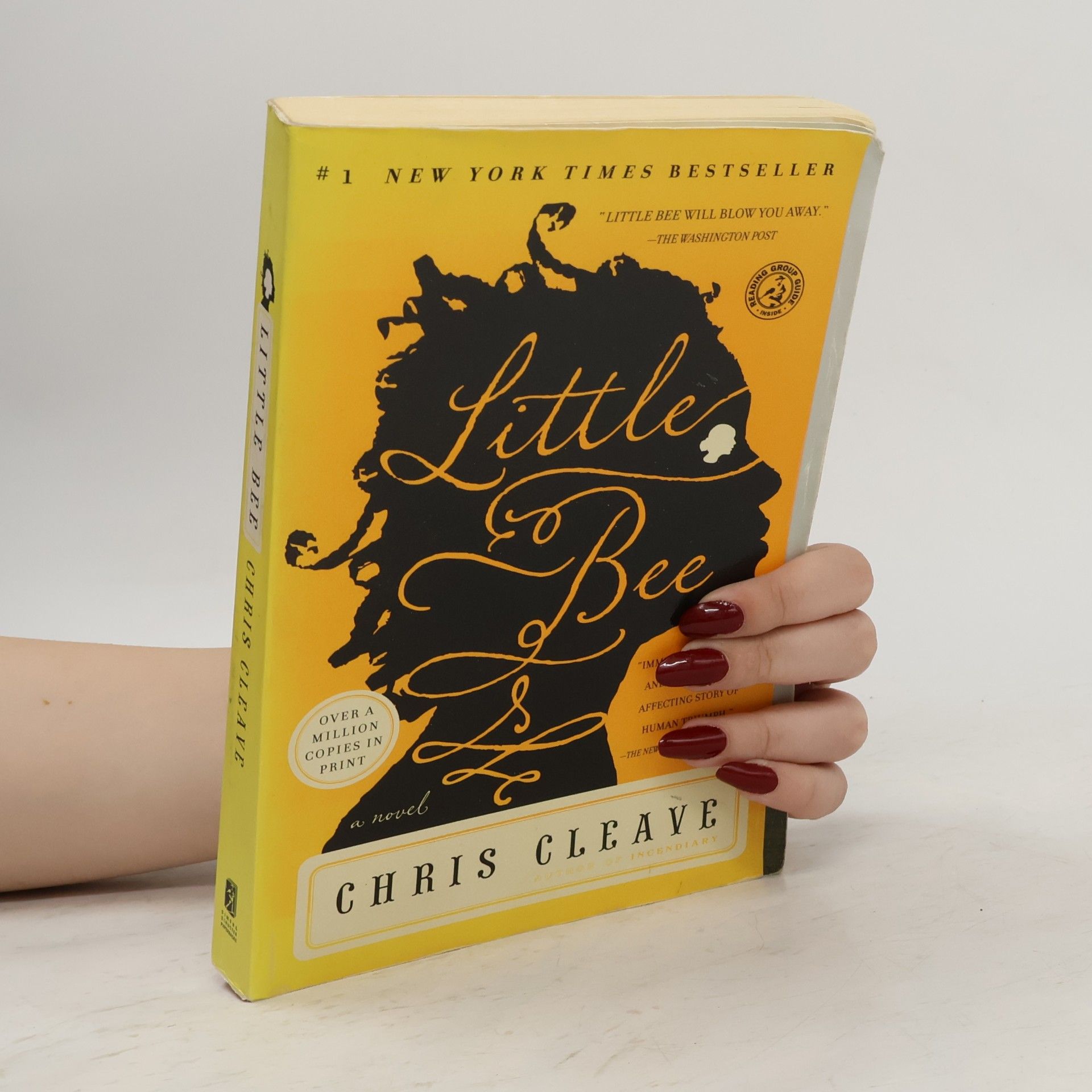 Chris Cleave Little Bee