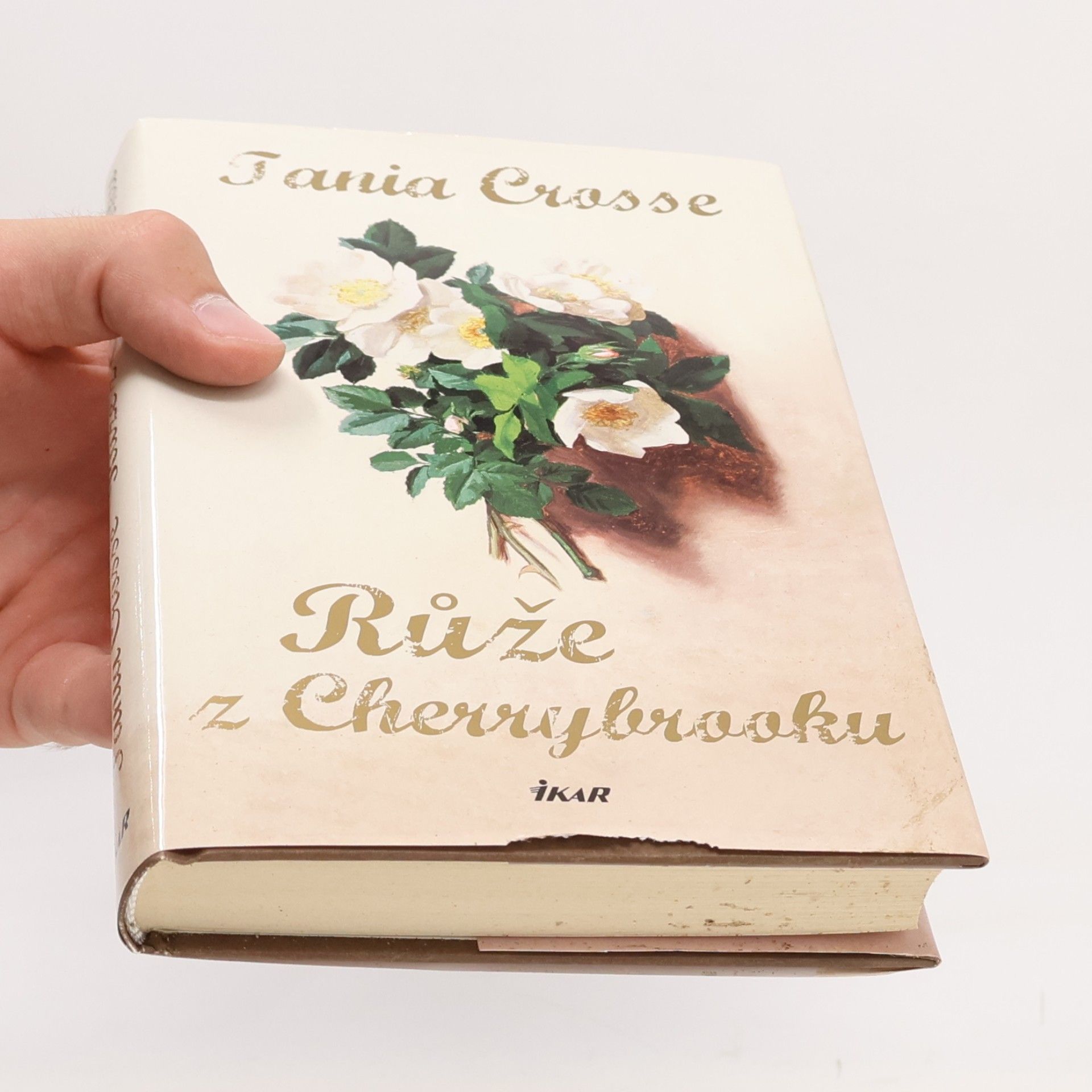 Tania Anne Crosse Růže z Cherrybrooku