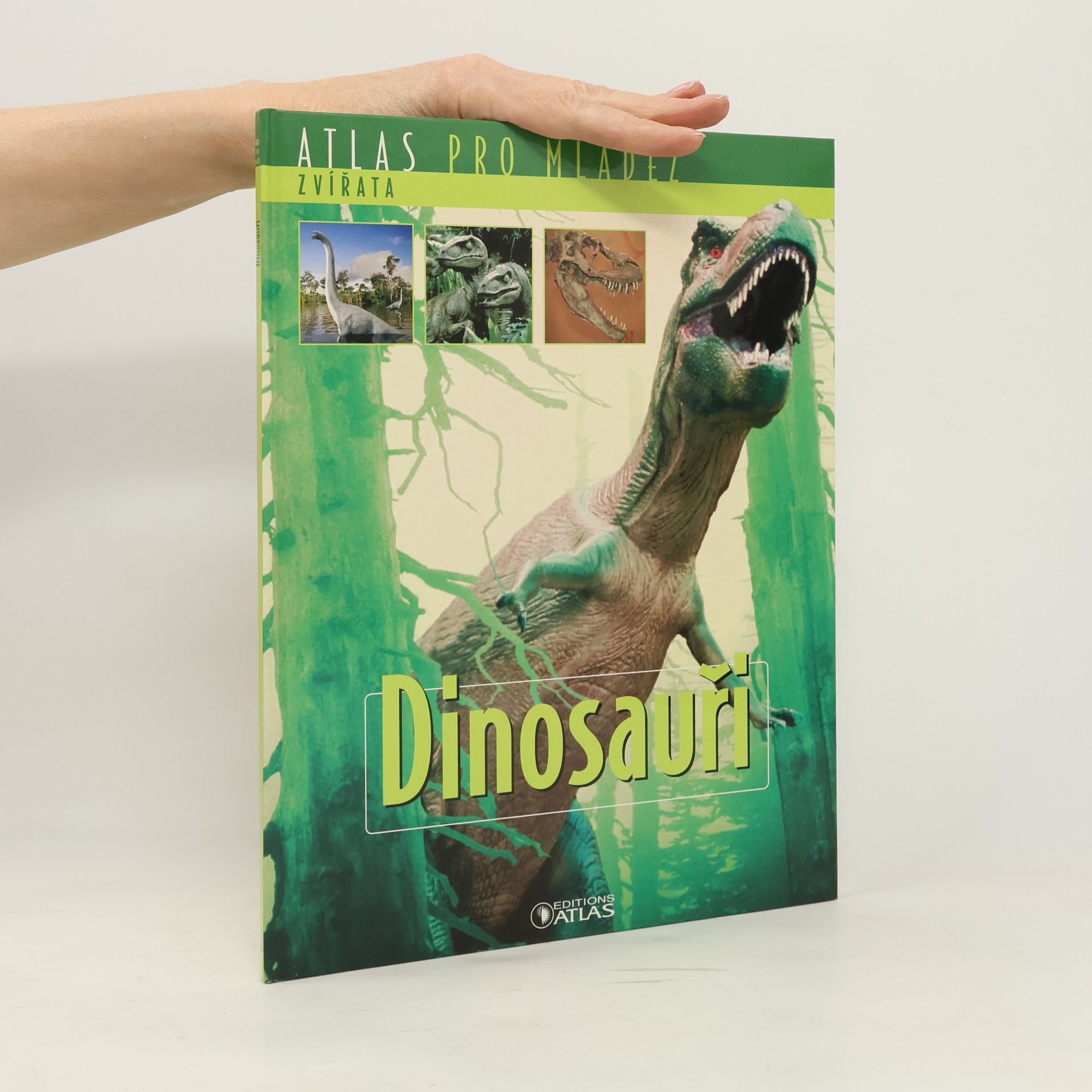 Autorenkollektiv Dinosauři. Atlas pro mládež