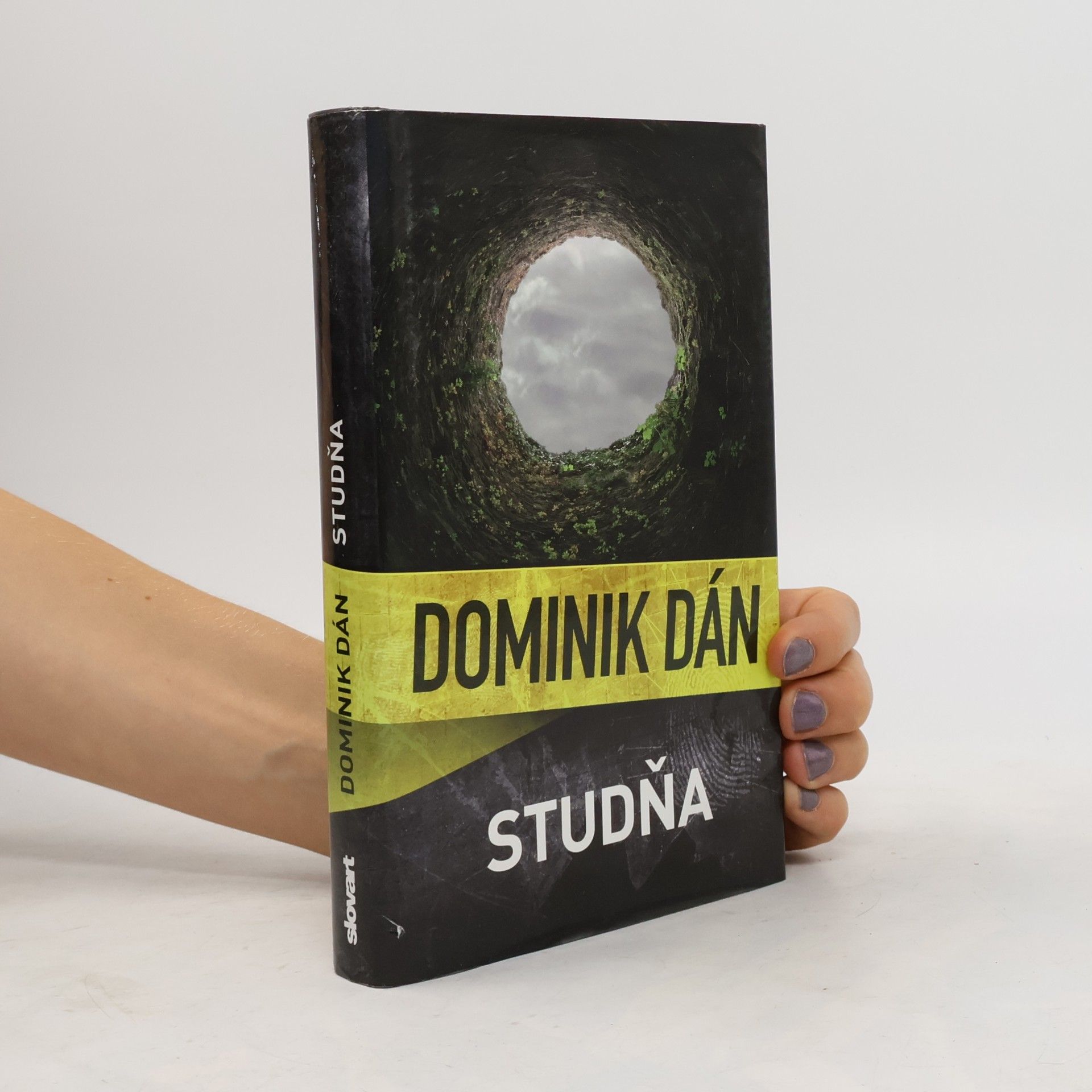 Dominik Dán Studňa