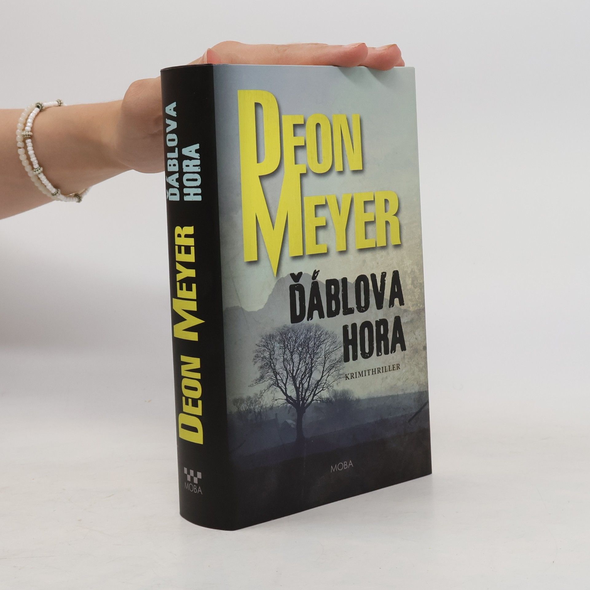 Deon Meyer Ďáblova hora