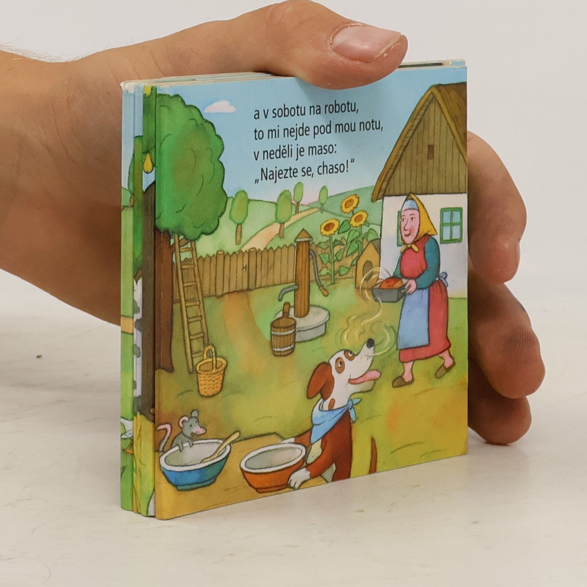 Lenka Vybíralová Šel dědeček na kopeček