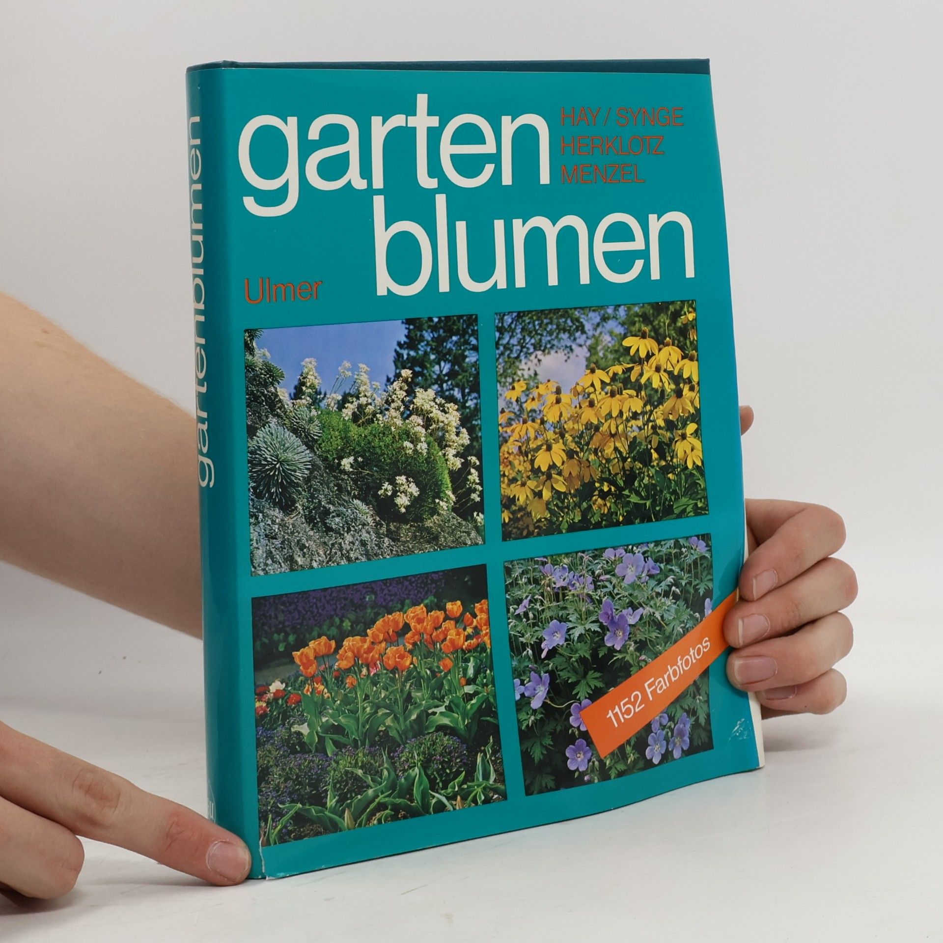 Roy Hay Gartenblumen