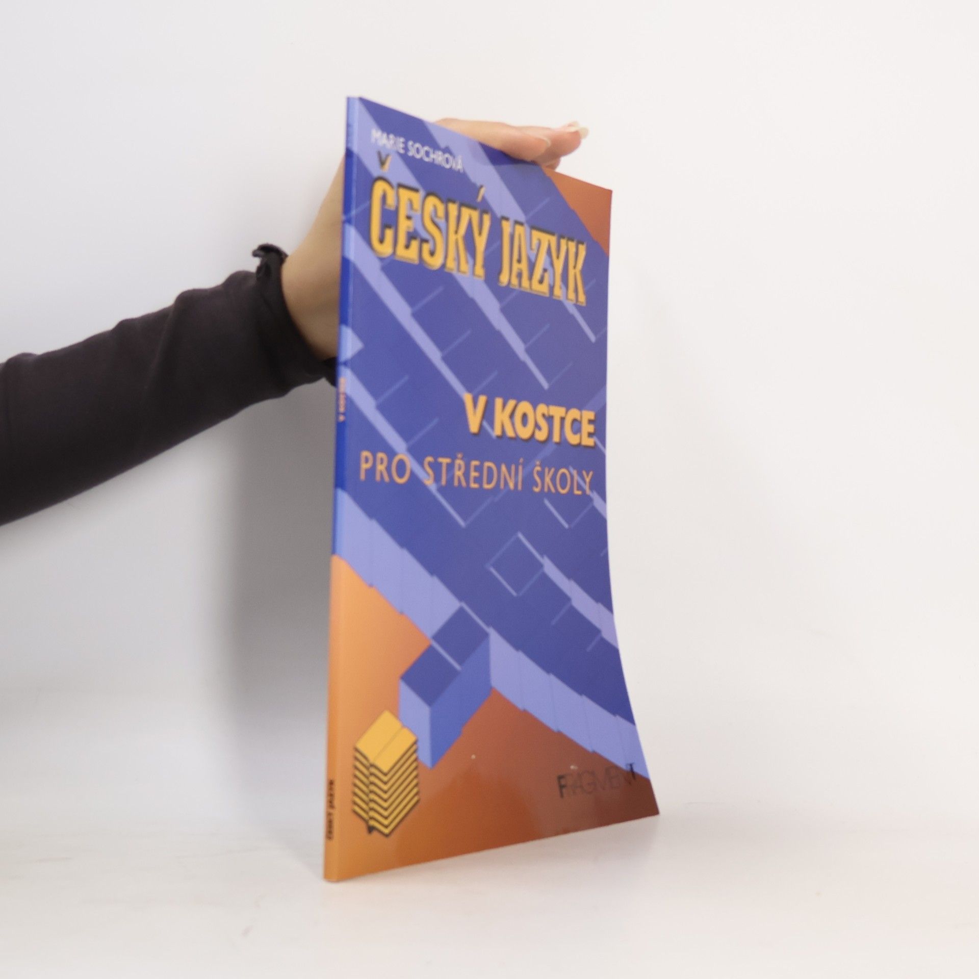 Marie Sochrová Český jazyk v kostce