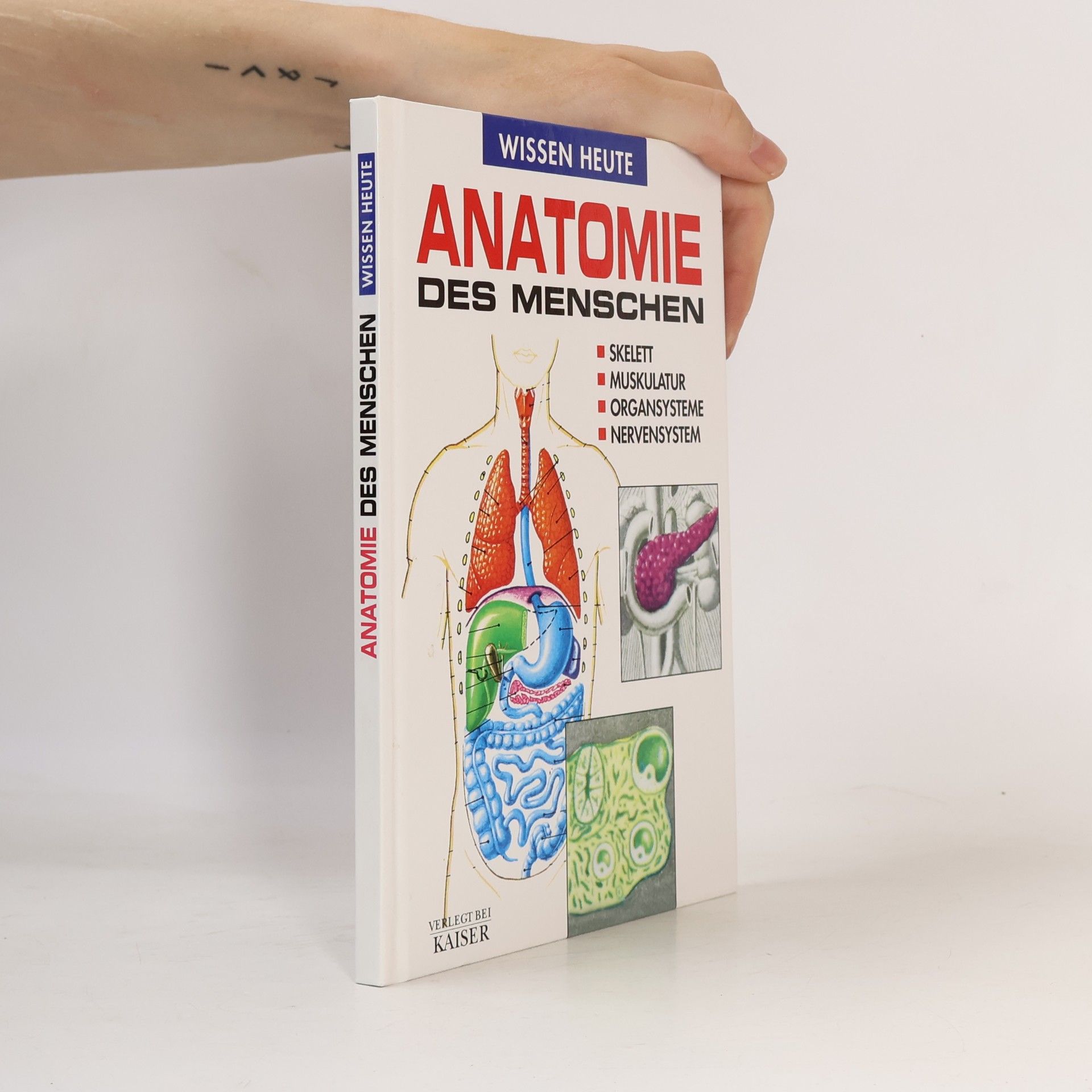 Autorenkollektiv Anatomie des menschen