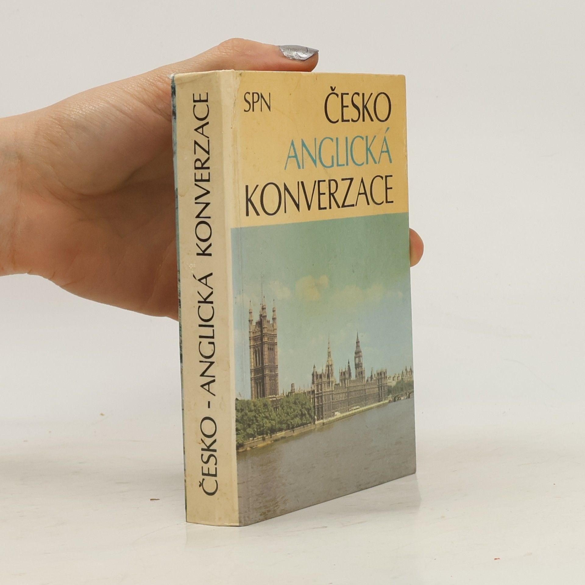 Ludmila Kollmannova Česko-anglická konverzace