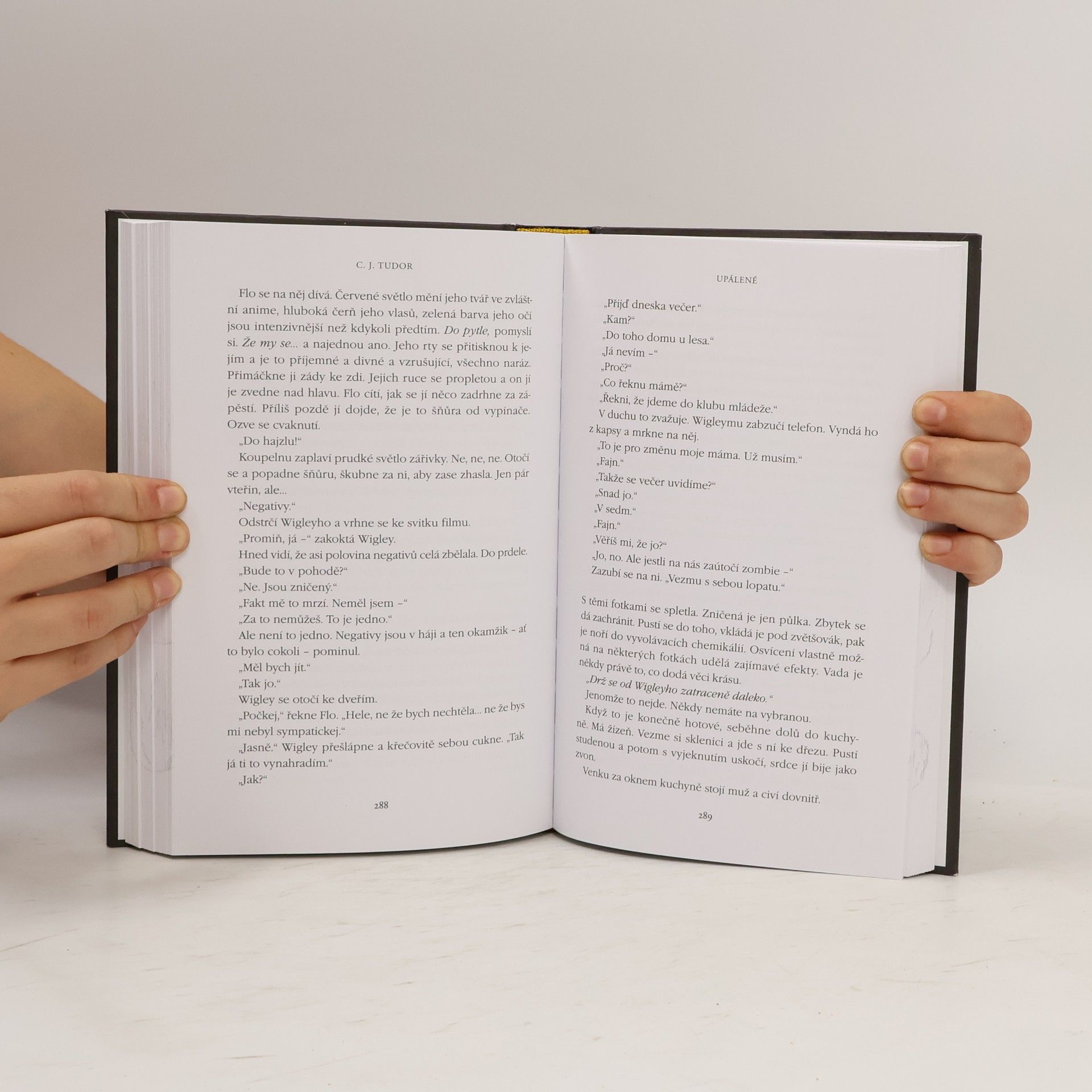 C. J. Tudor Upálené