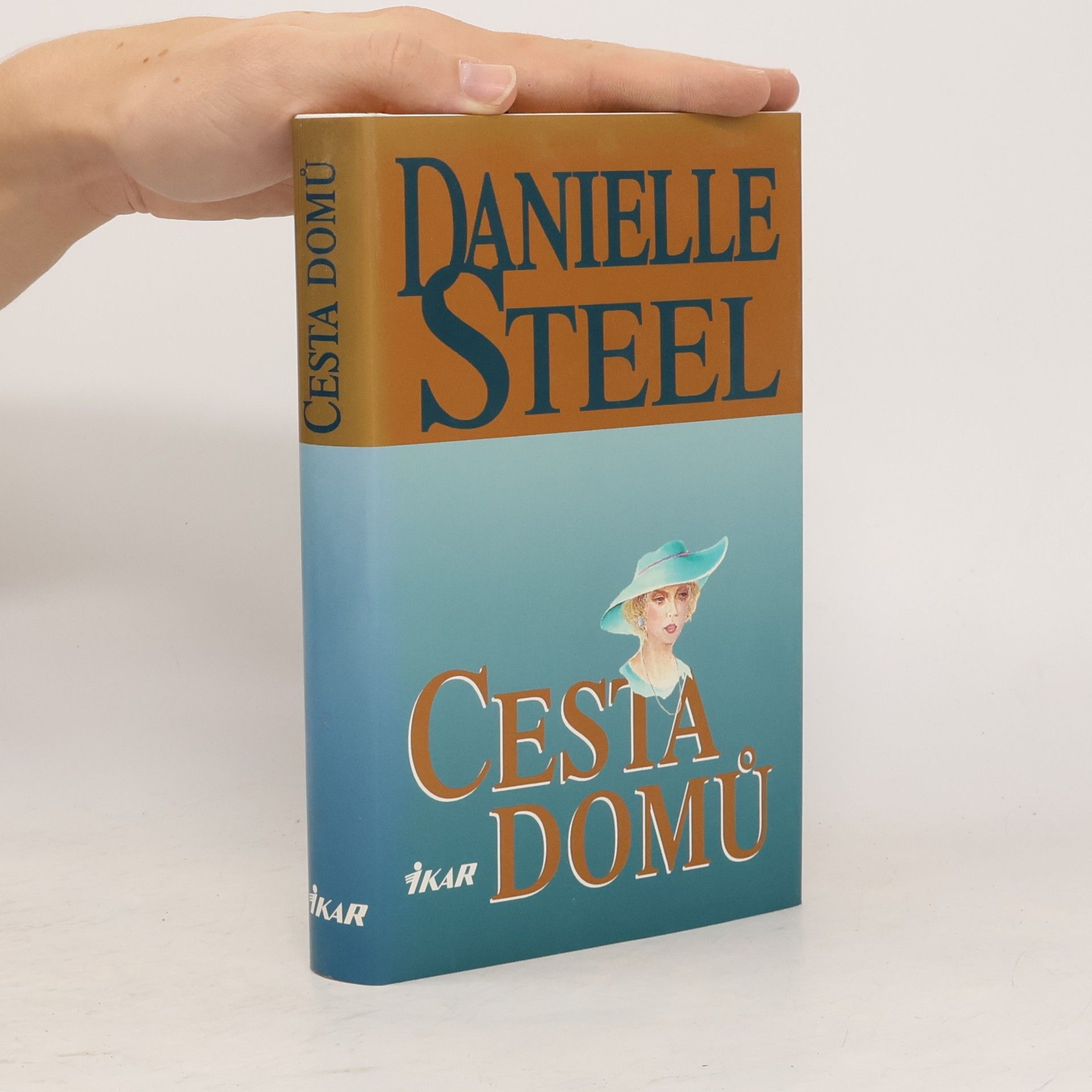 Danielle Steel Cesta domů