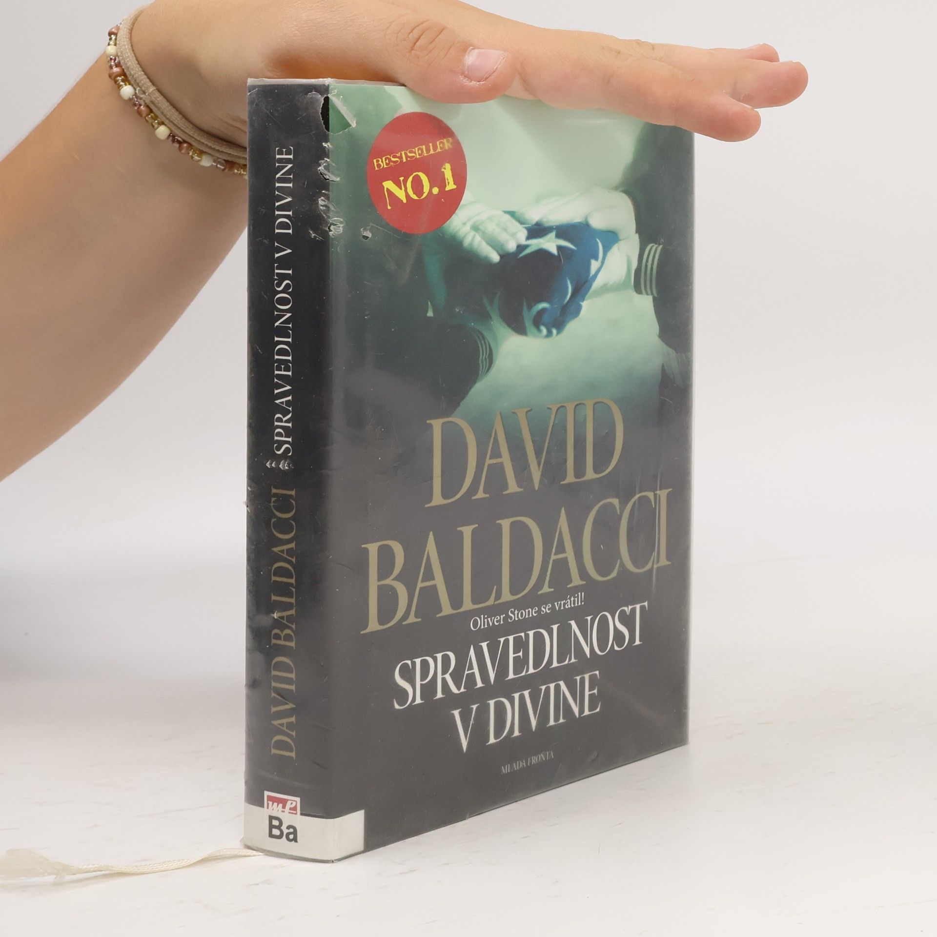 David Baldacci Spravedlnost v Divine