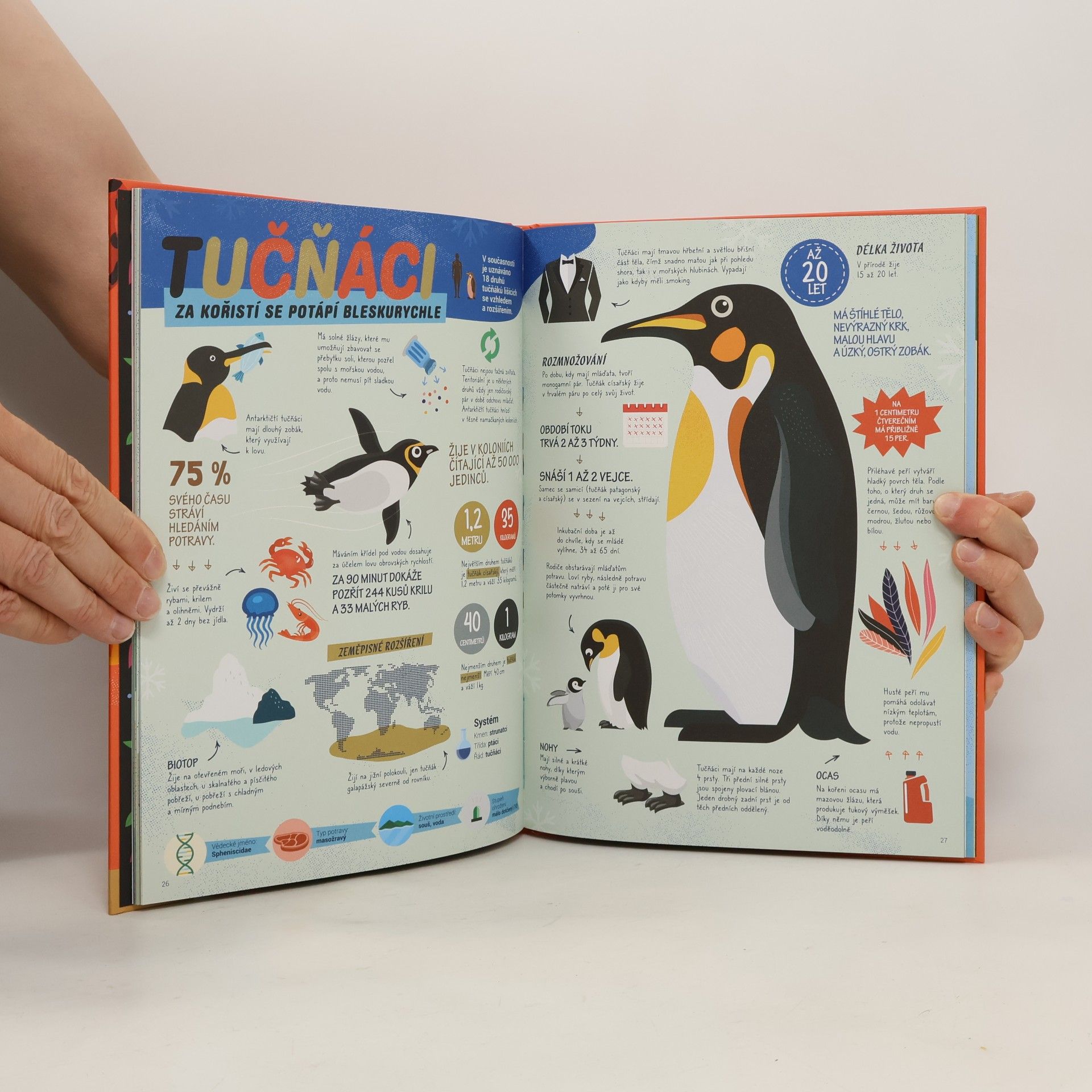Autorenkollektiv Jedlíci. Povídání o tom, čím se jednotlivé živočišné druhy živí