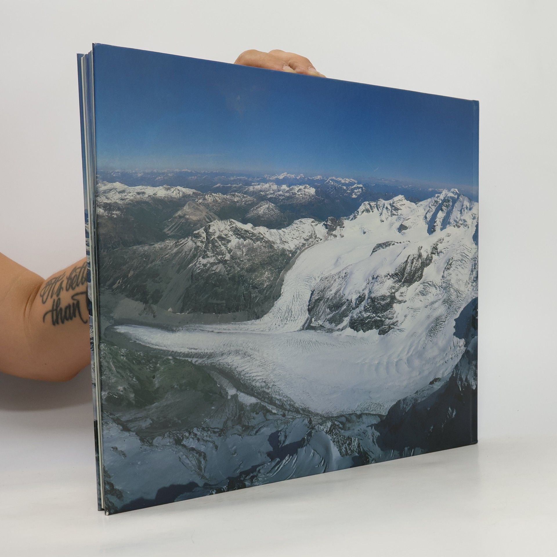 Various authors Panorama Alpen