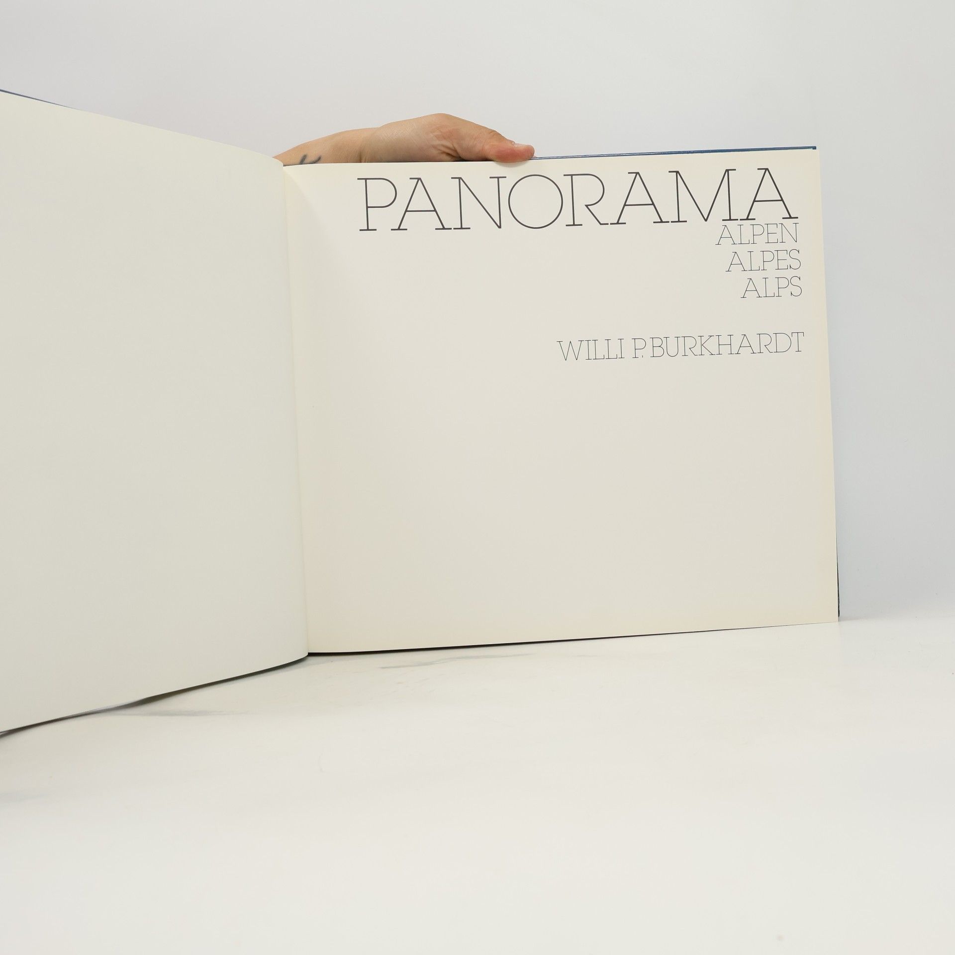 Various authors Panorama Alpen