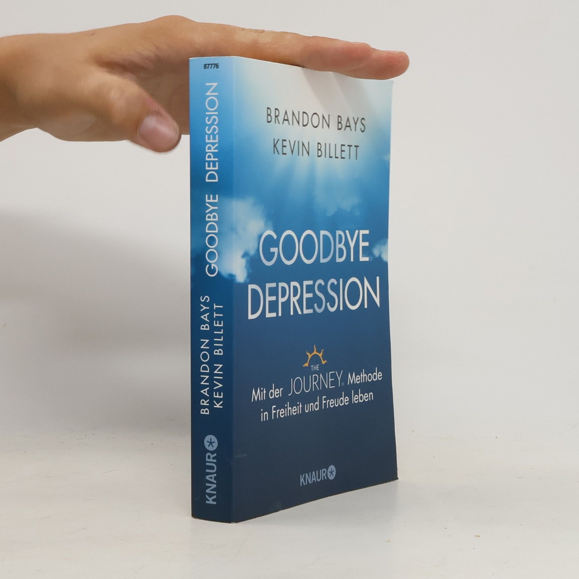 Brandon Bays Goodbye Depression