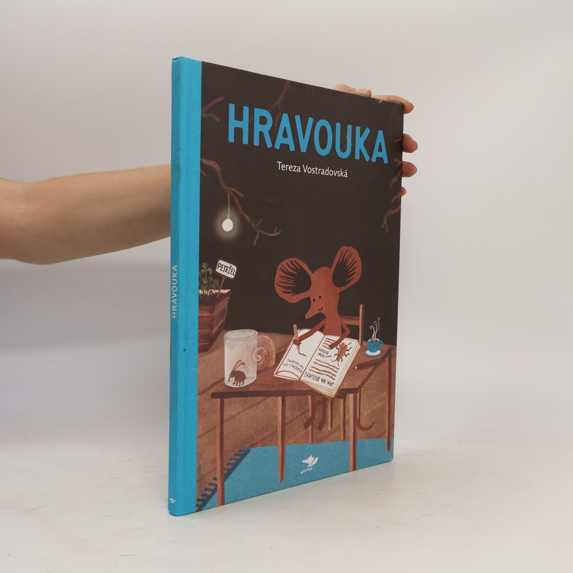 Tereza Vostradovská Hravouka