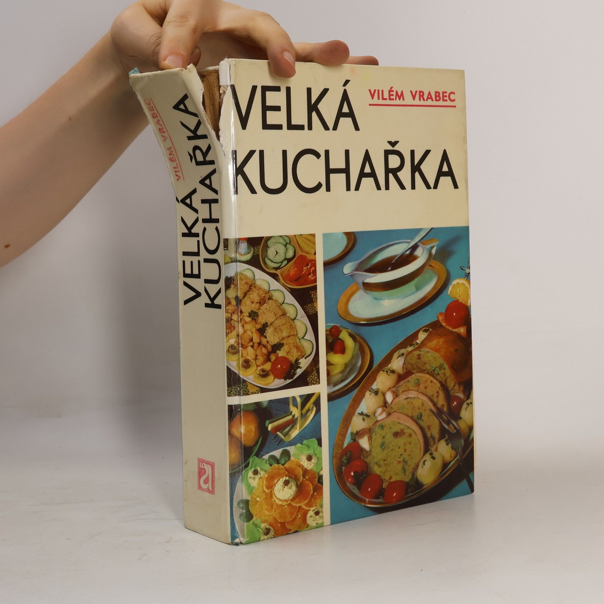 Vilém Vrabec Velká kuchařka