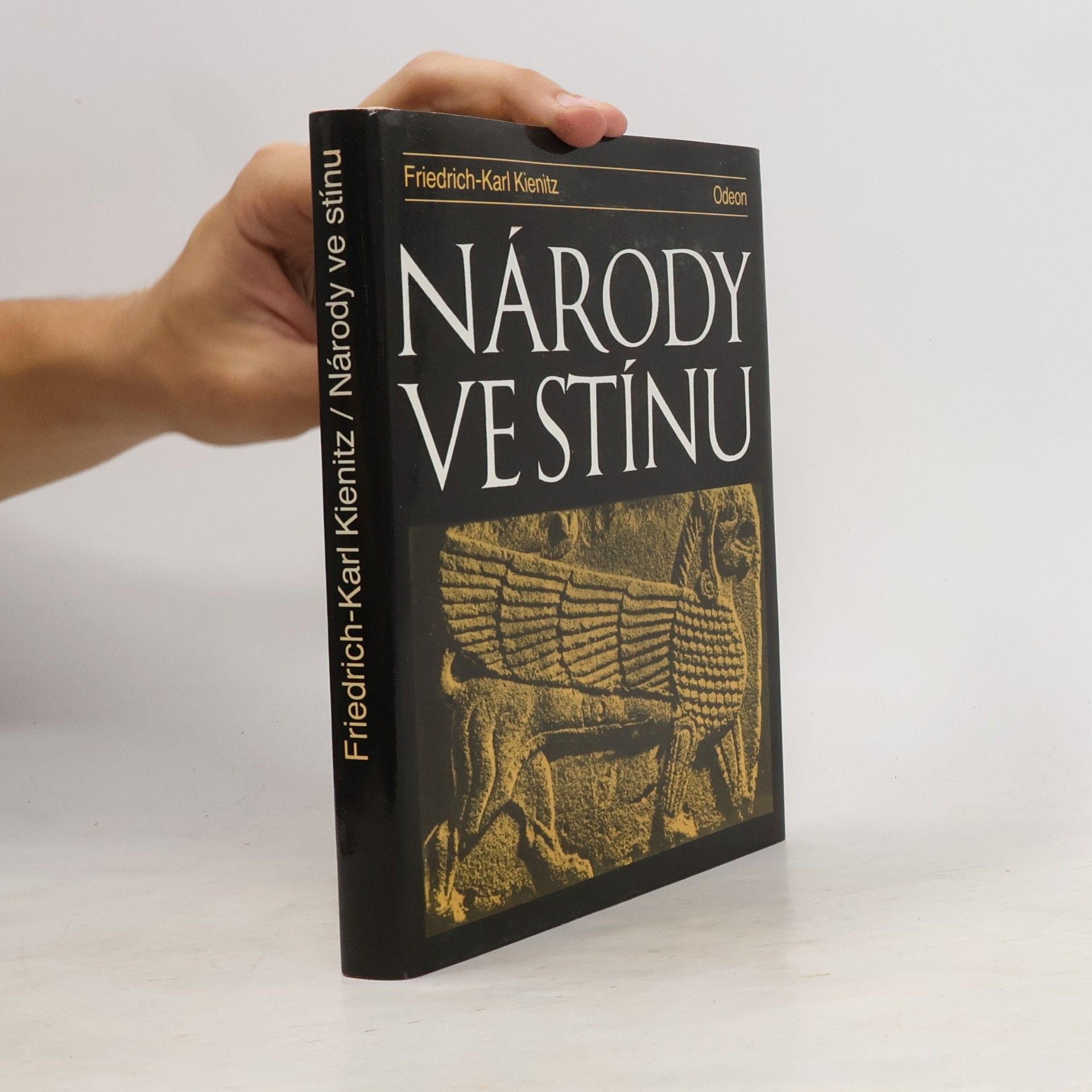 Friedrich Karl Kienitz Národy ve stínu
