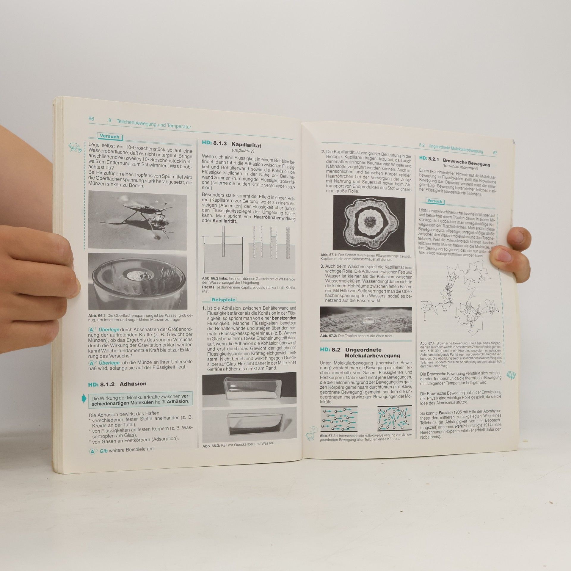 Albert Jaros Physik compact