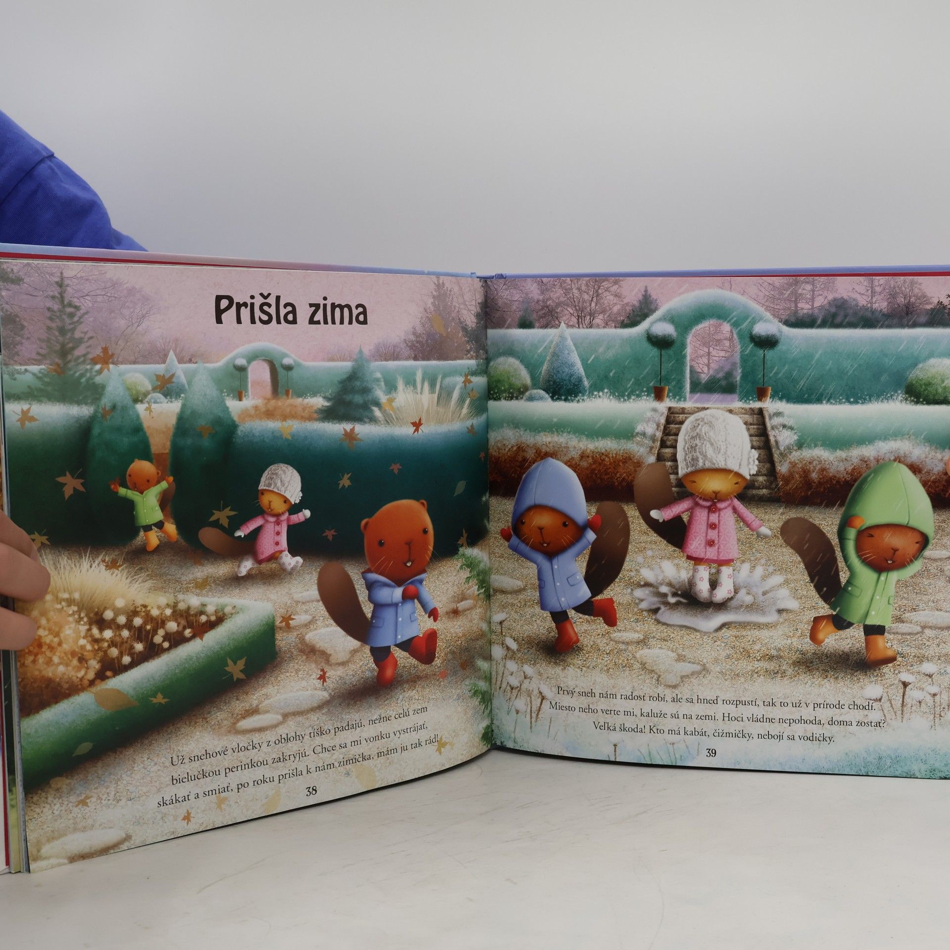 Autorenkollektiv Zasnežené rozprávky