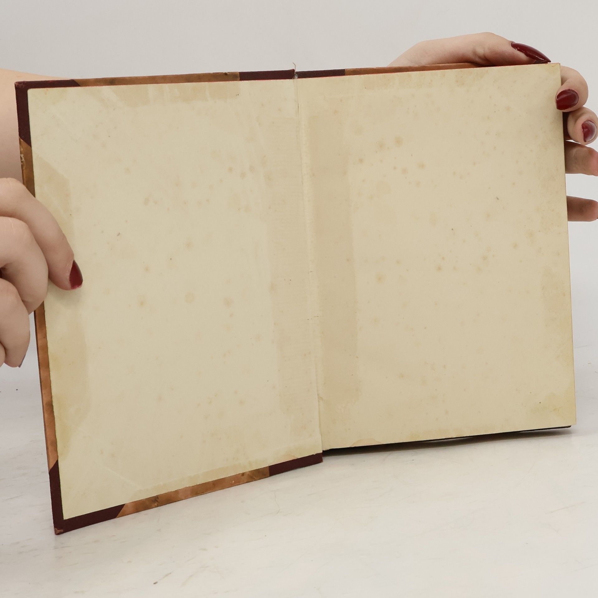 František Josef Čečetka Nad západem : historické novelly