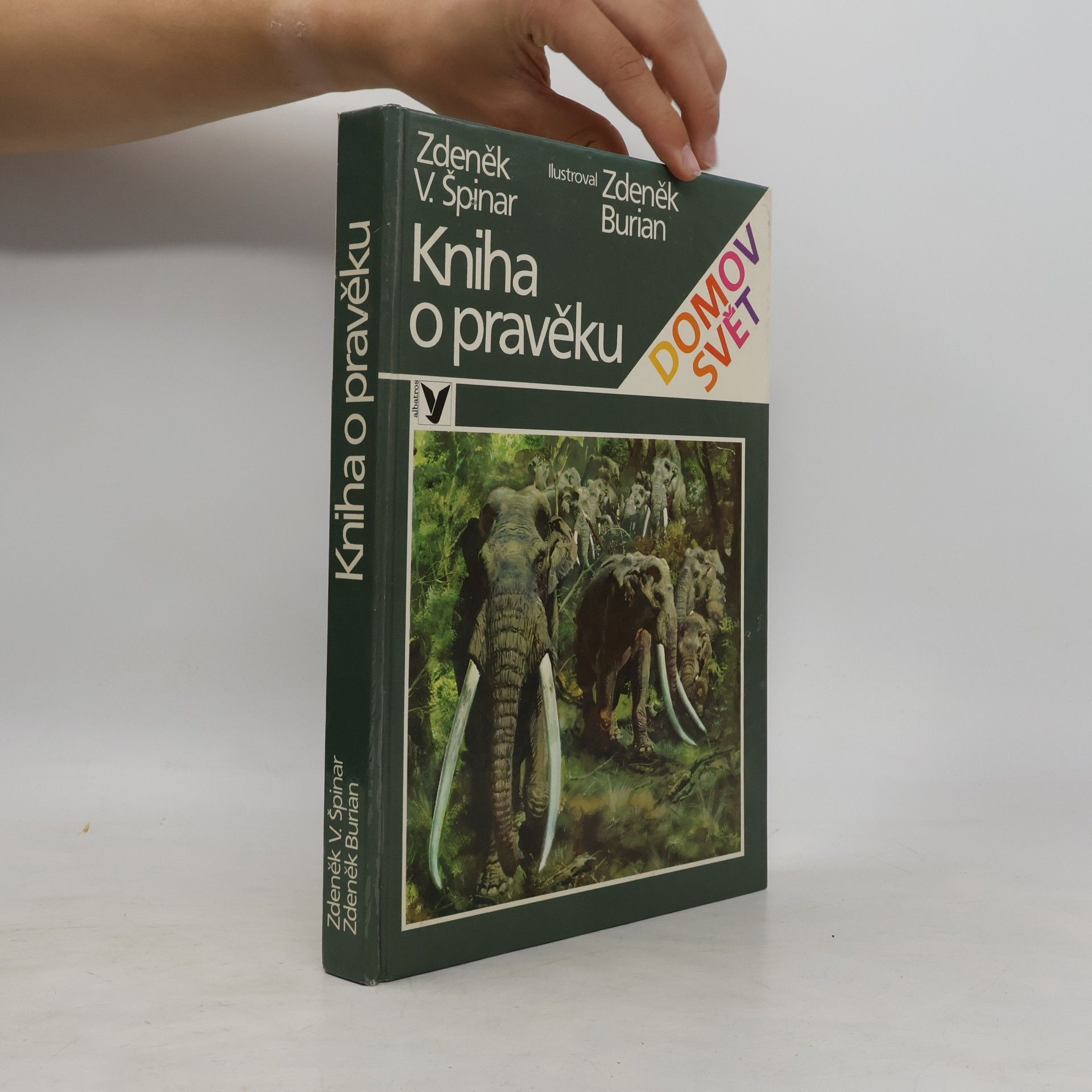 Kniha o pravěku