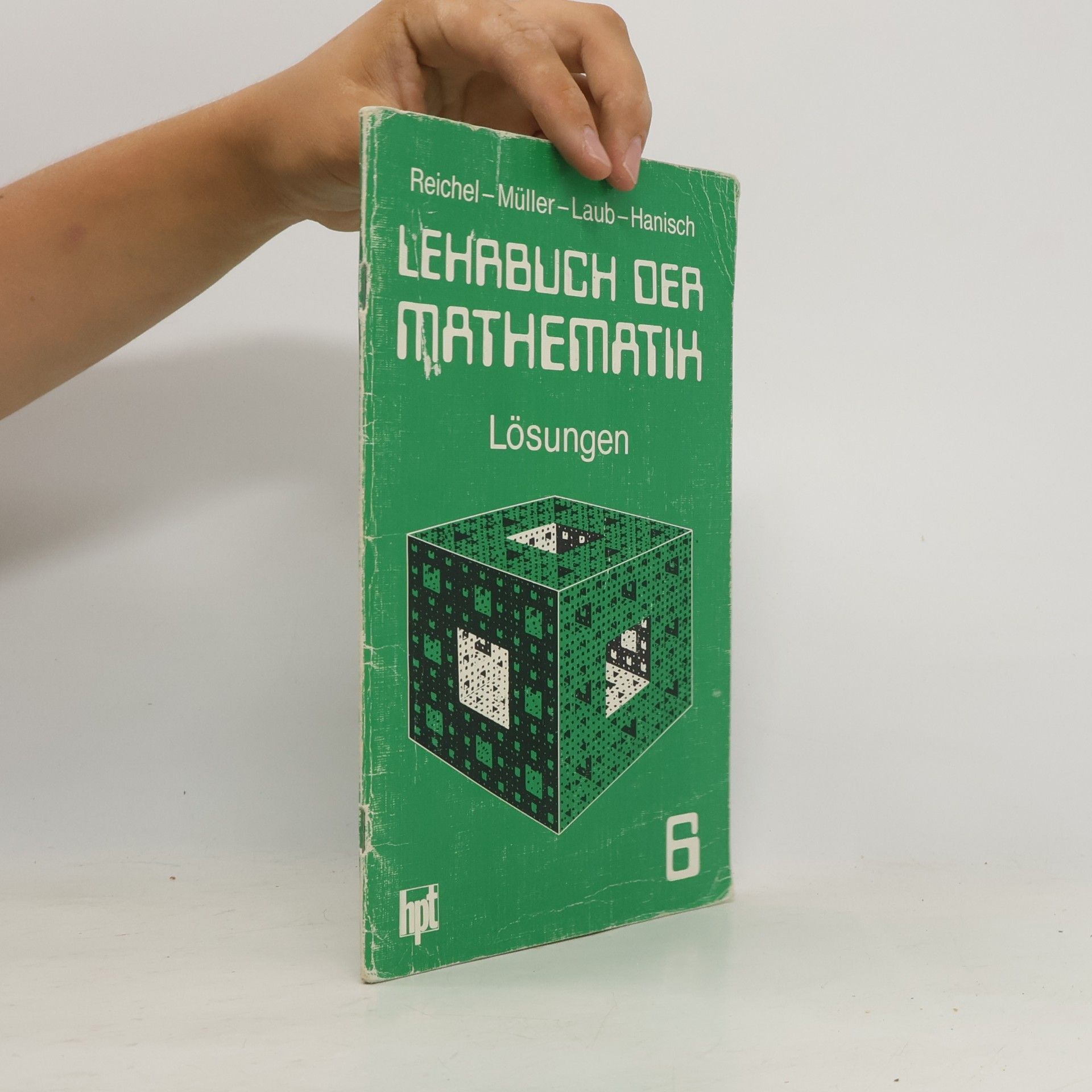 Lehrbuch der Mathematik 6. Lösungen