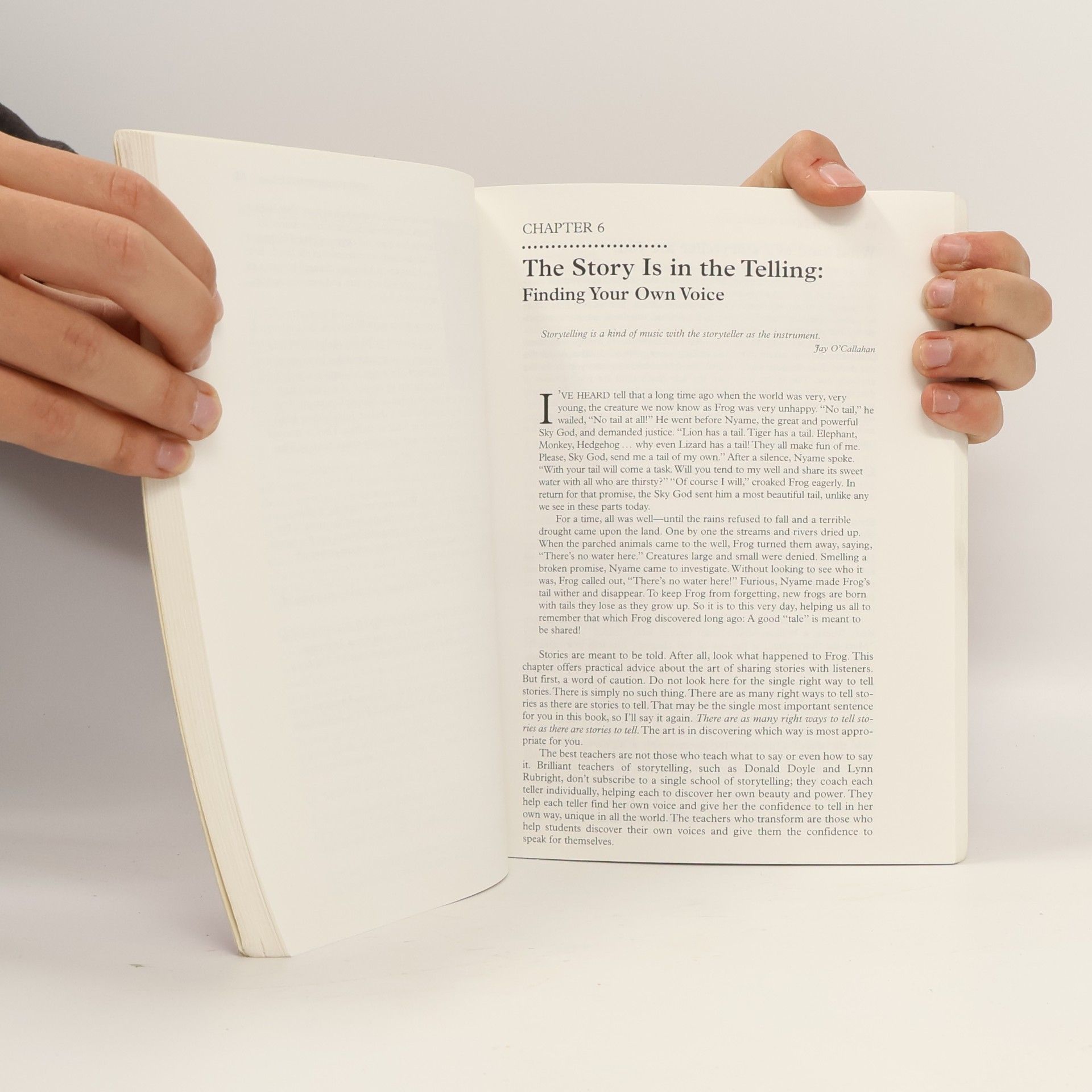 Rives Collins The Power of Story