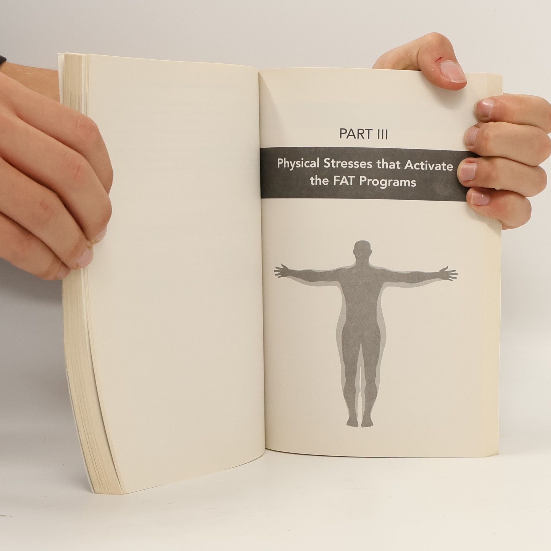 Jon Gabriel The Gabriel Method: The Revolutionary Diet-Free Way to Totally Transform Your Body
