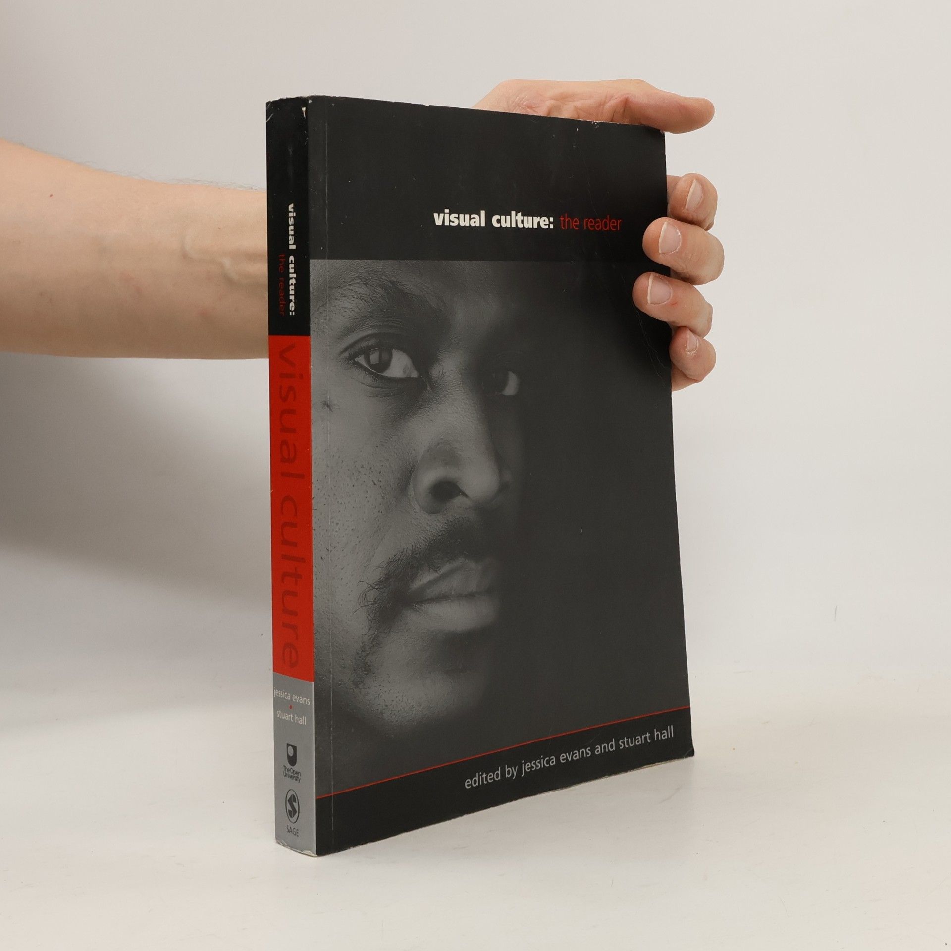 Visual culture : the reader