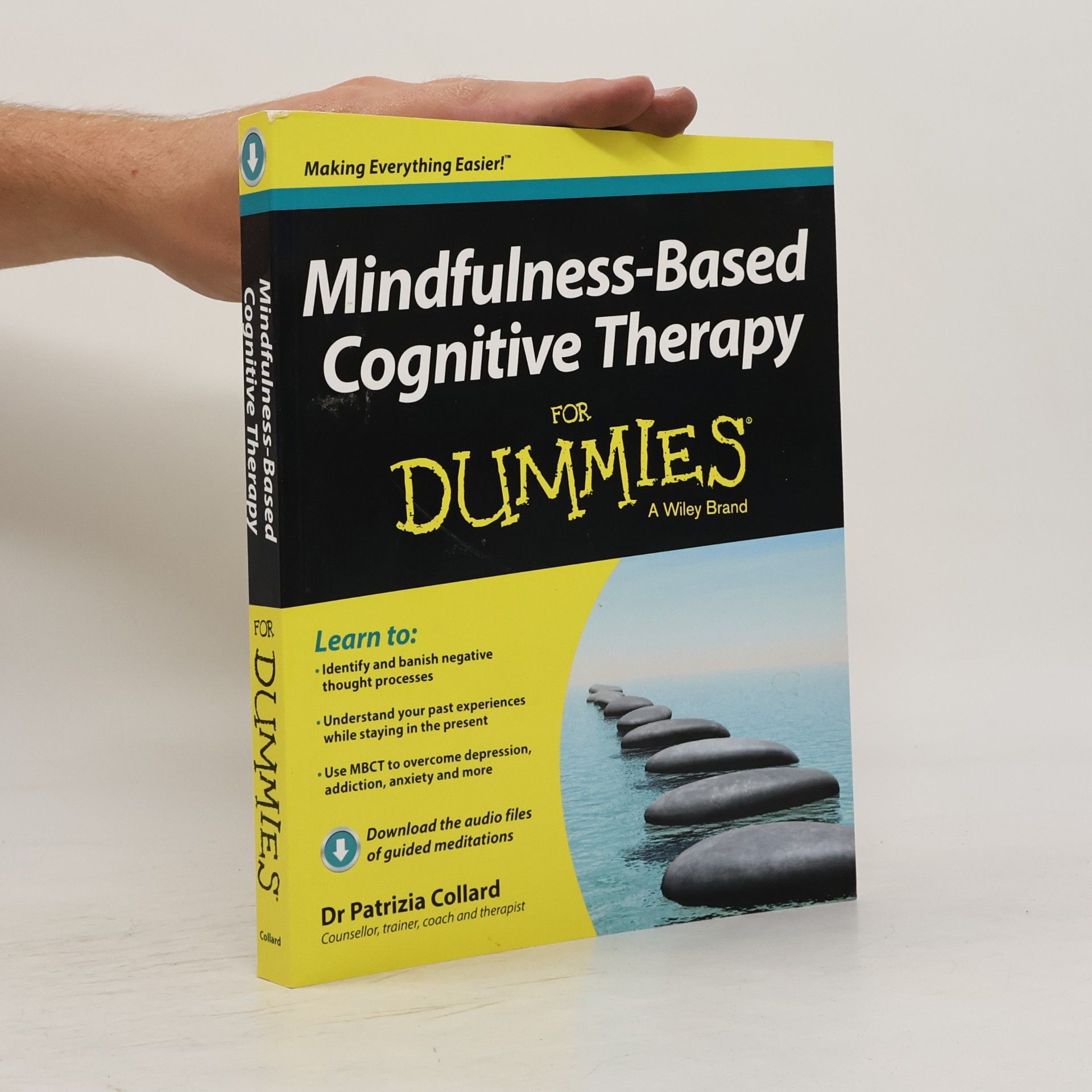 Mindfulness-Based Cognitive Therapy For Dummies