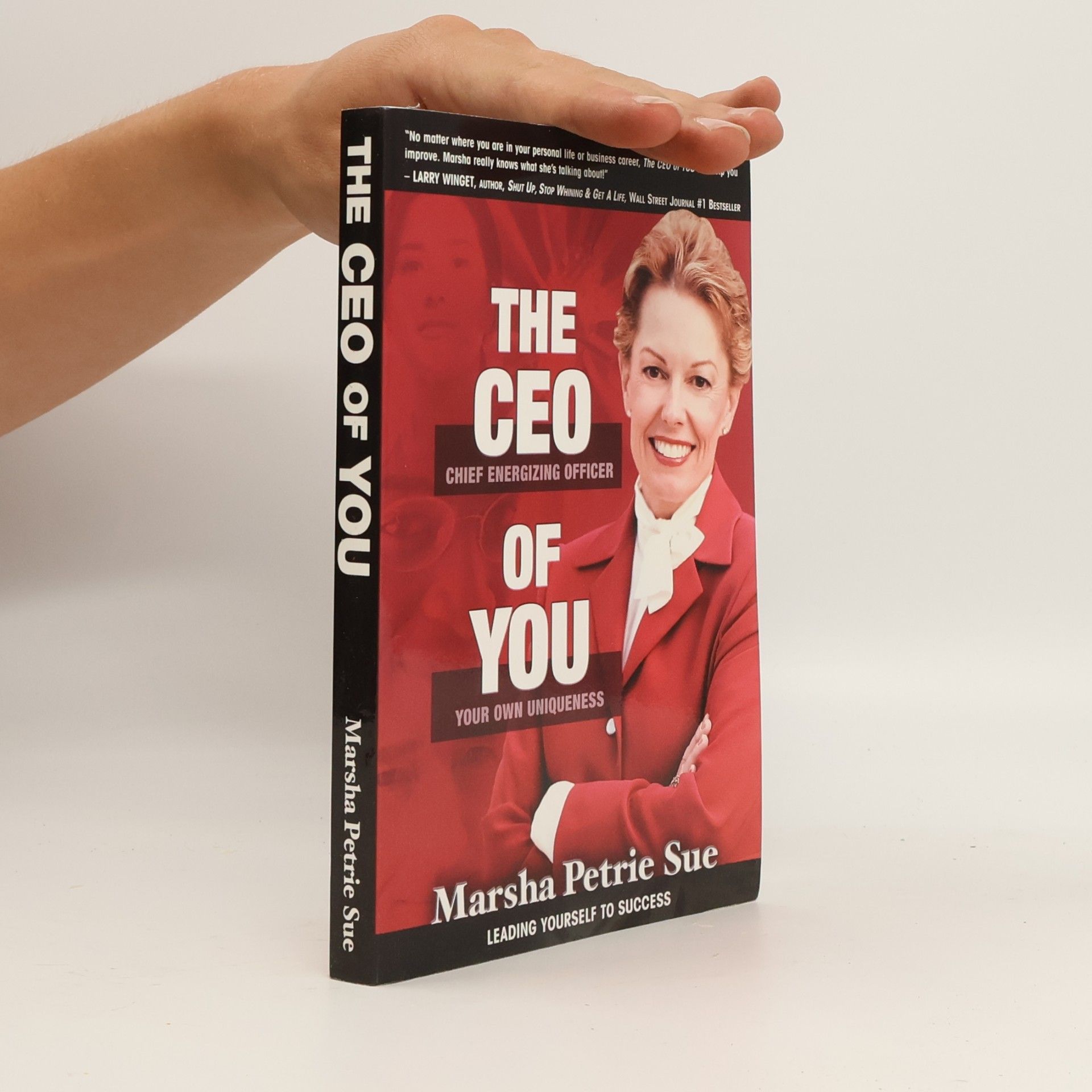 Marsha Petrie Sue The CEO of You
