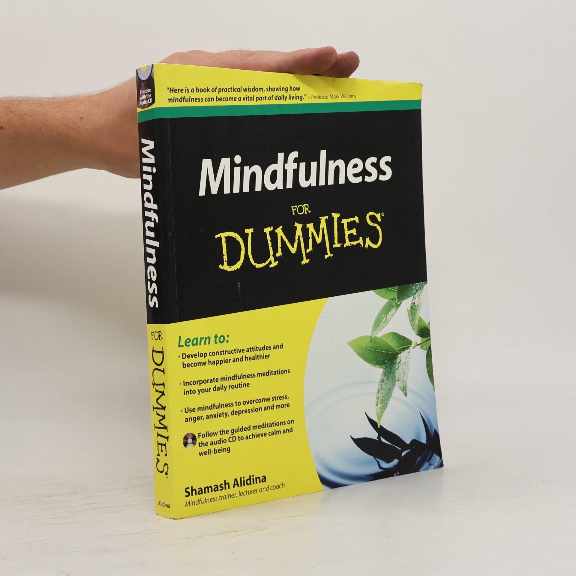 Mindfulness for dummies