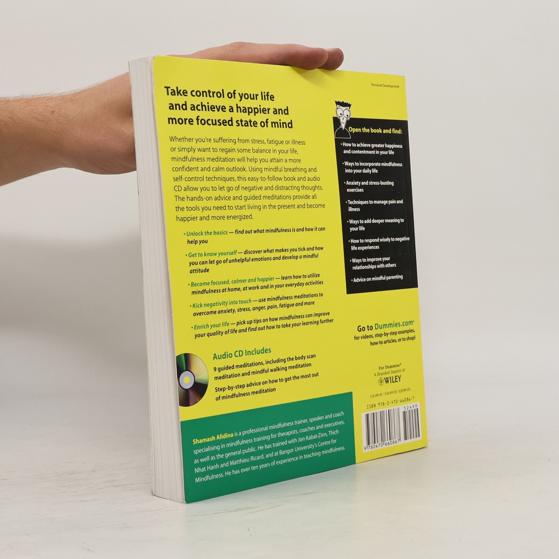 Shamash Alidina Mindfulness for dummies