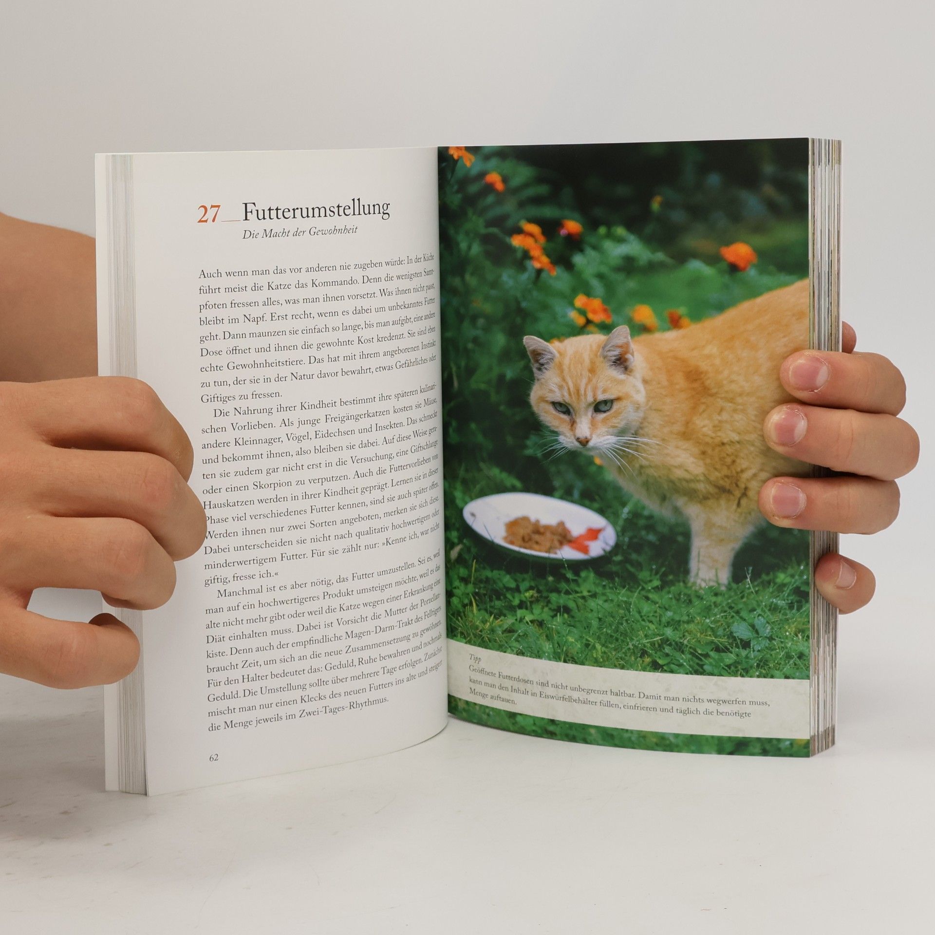 Annett Klingner 111 Dinge über Katzen, die man wissen muss