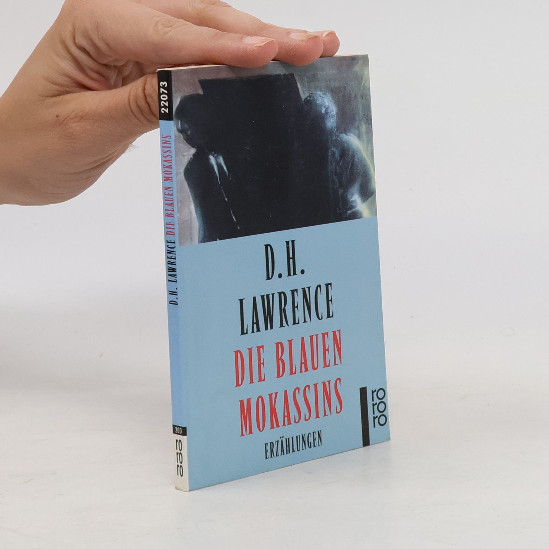 D. H. Lawrence Die blauen Mokassins
