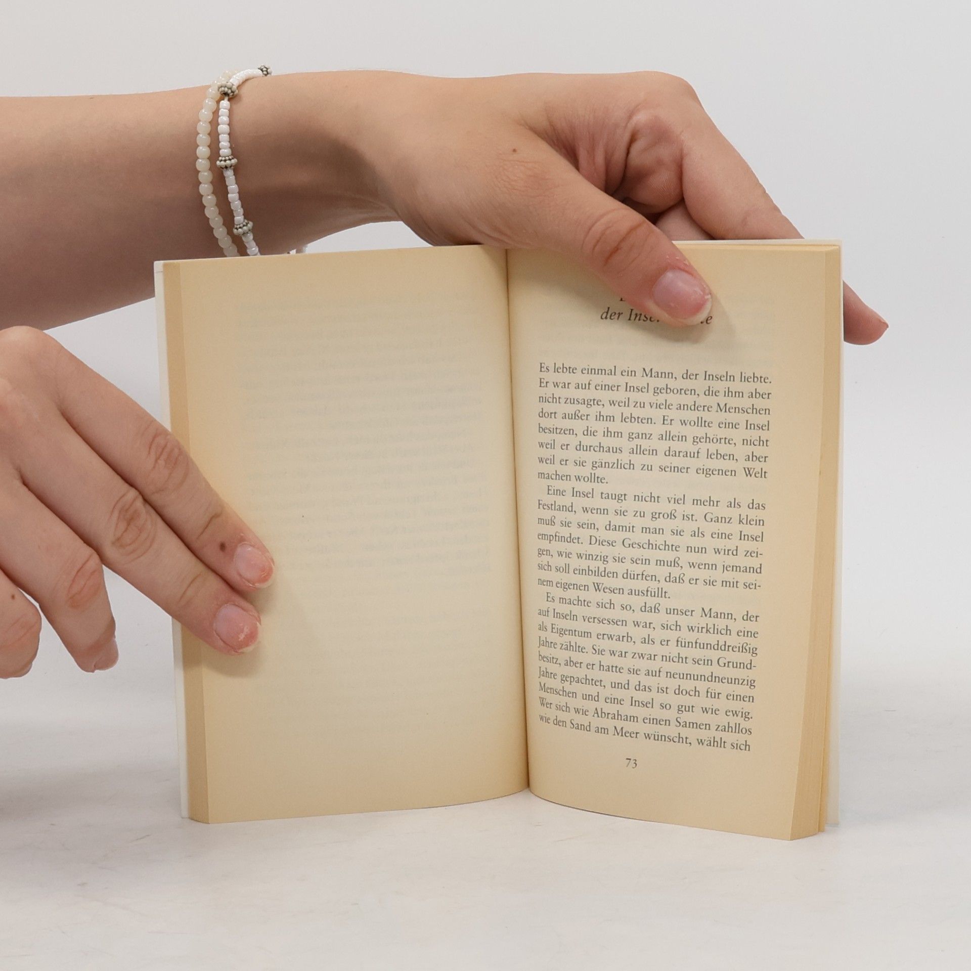 D. H. Lawrence Die blauen Mokassins