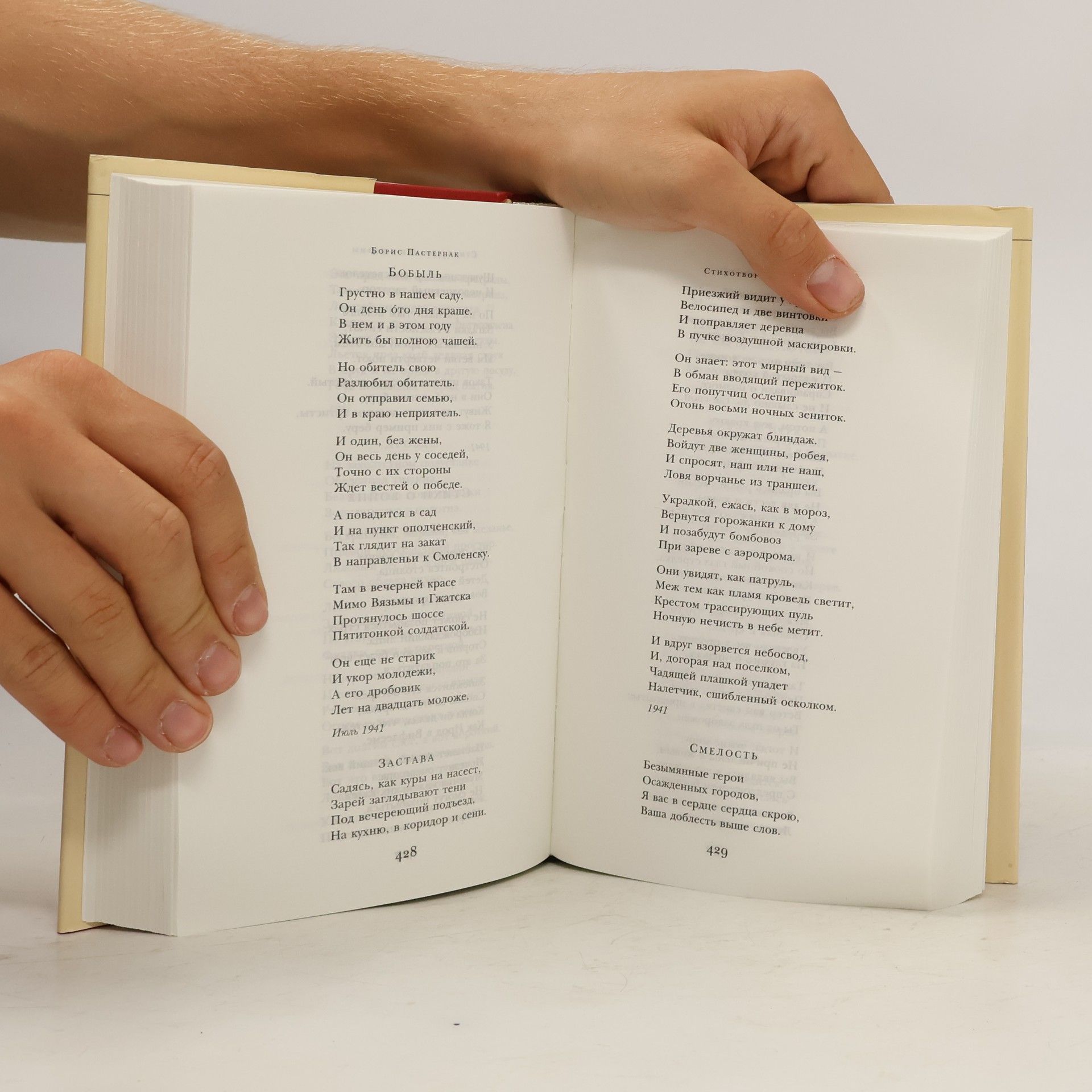 Stihotvorenija. Poemy: Bibliothek der Weltliteratur