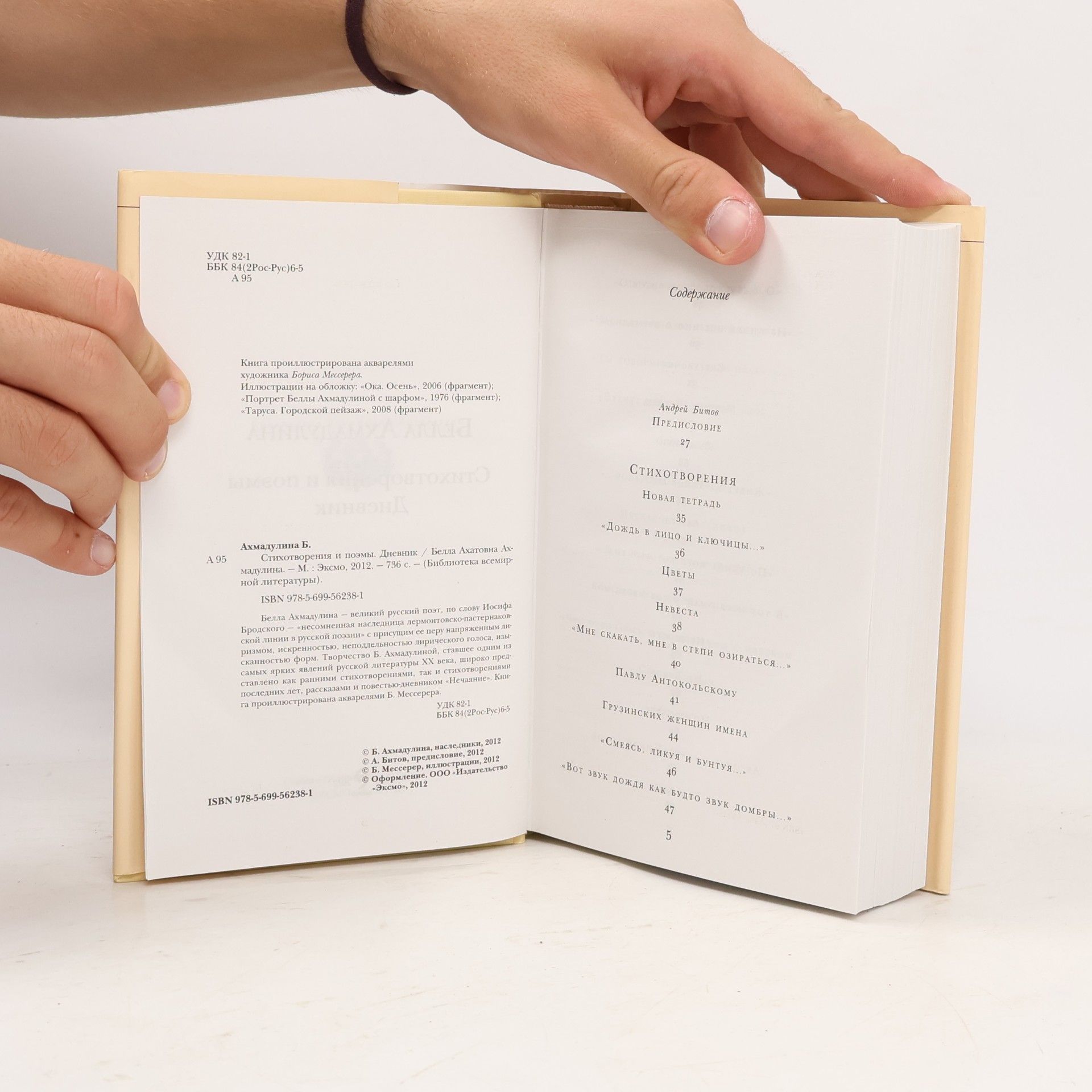 Stihotvorenija i pojemy. Dnevnik. Avtorskij sbornik. (Gedichte und Poeme. Tagebuch): Bibliothek der Weltliteratur