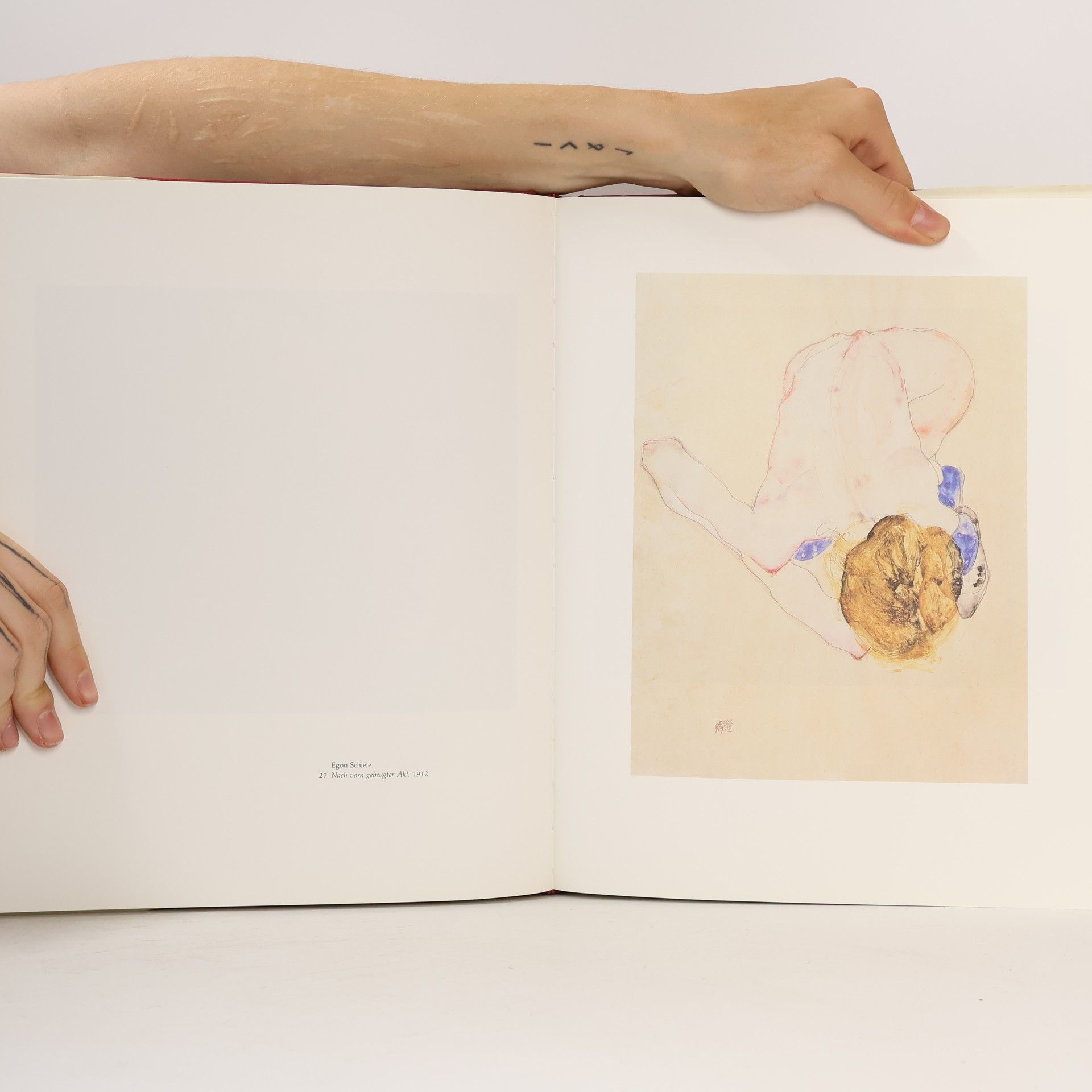 Kolektív autorov Egon Schiele und seine Zeit