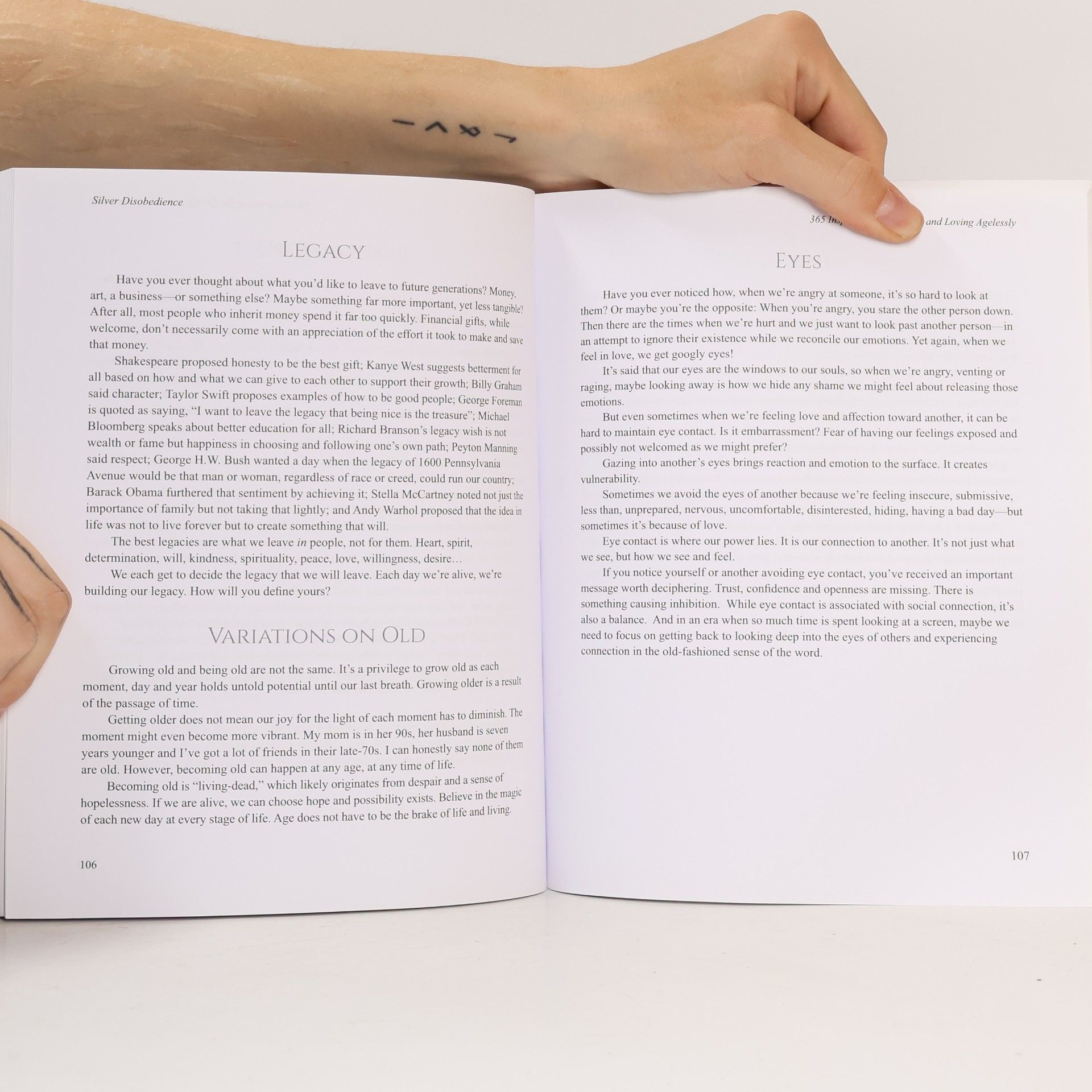Dian Griesel The Silver Disobedience Playbook: 365 Inspirations for Living and Loving Agelessly