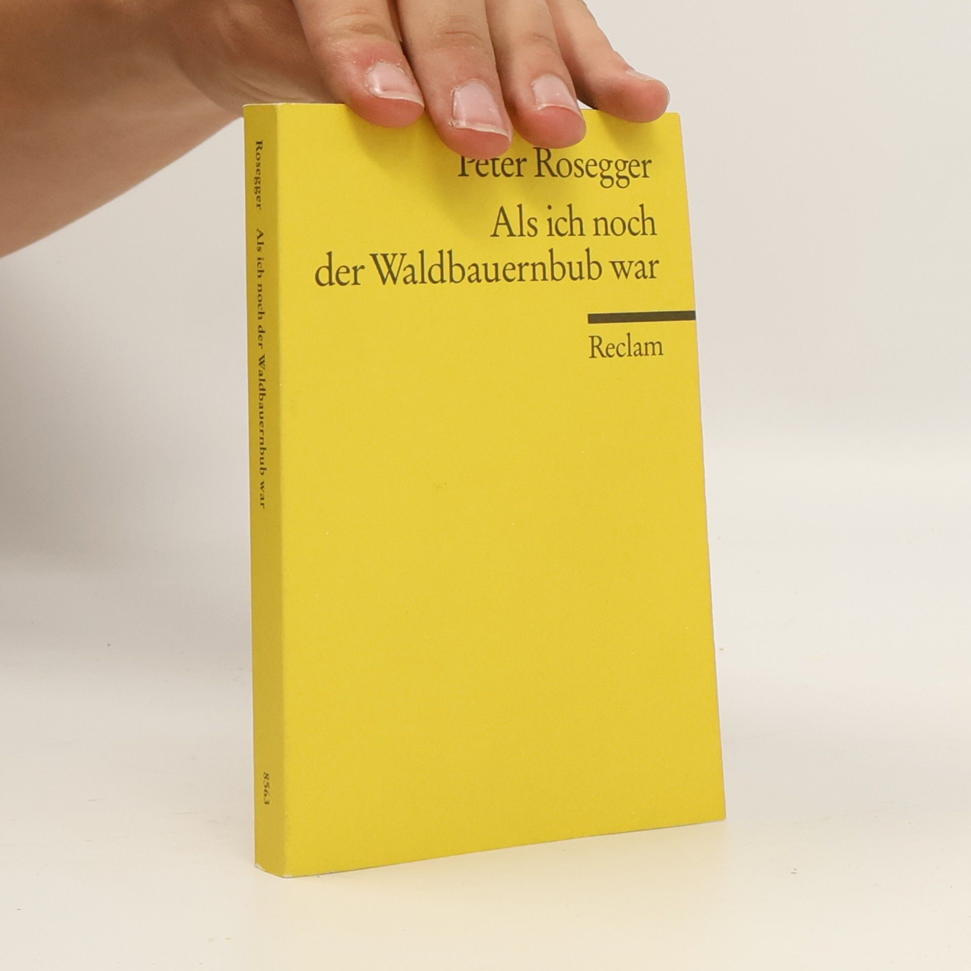 Peter Rosegger Als ich noch der Waldbauernbub war