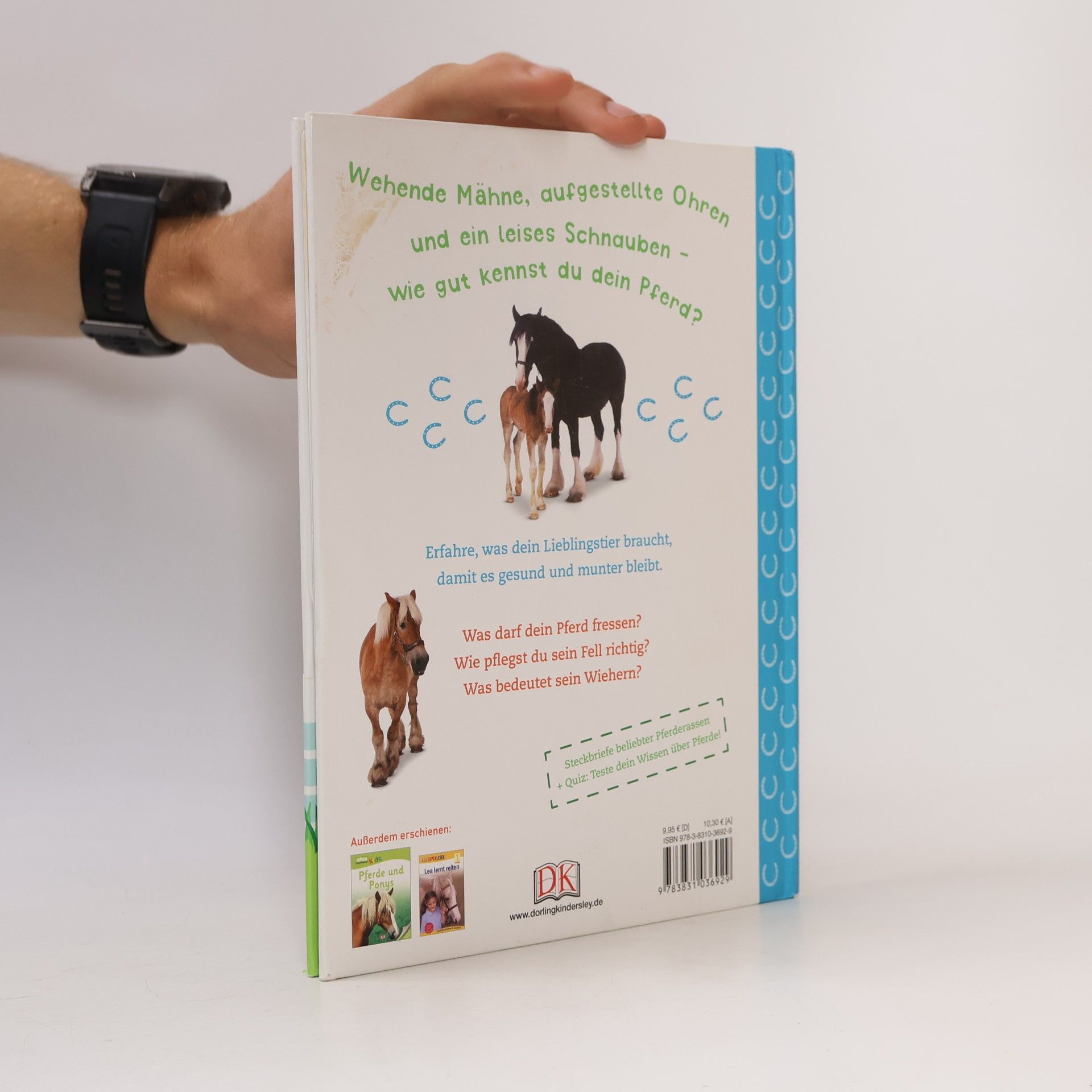 Andrea Mills Pferde und Ponys