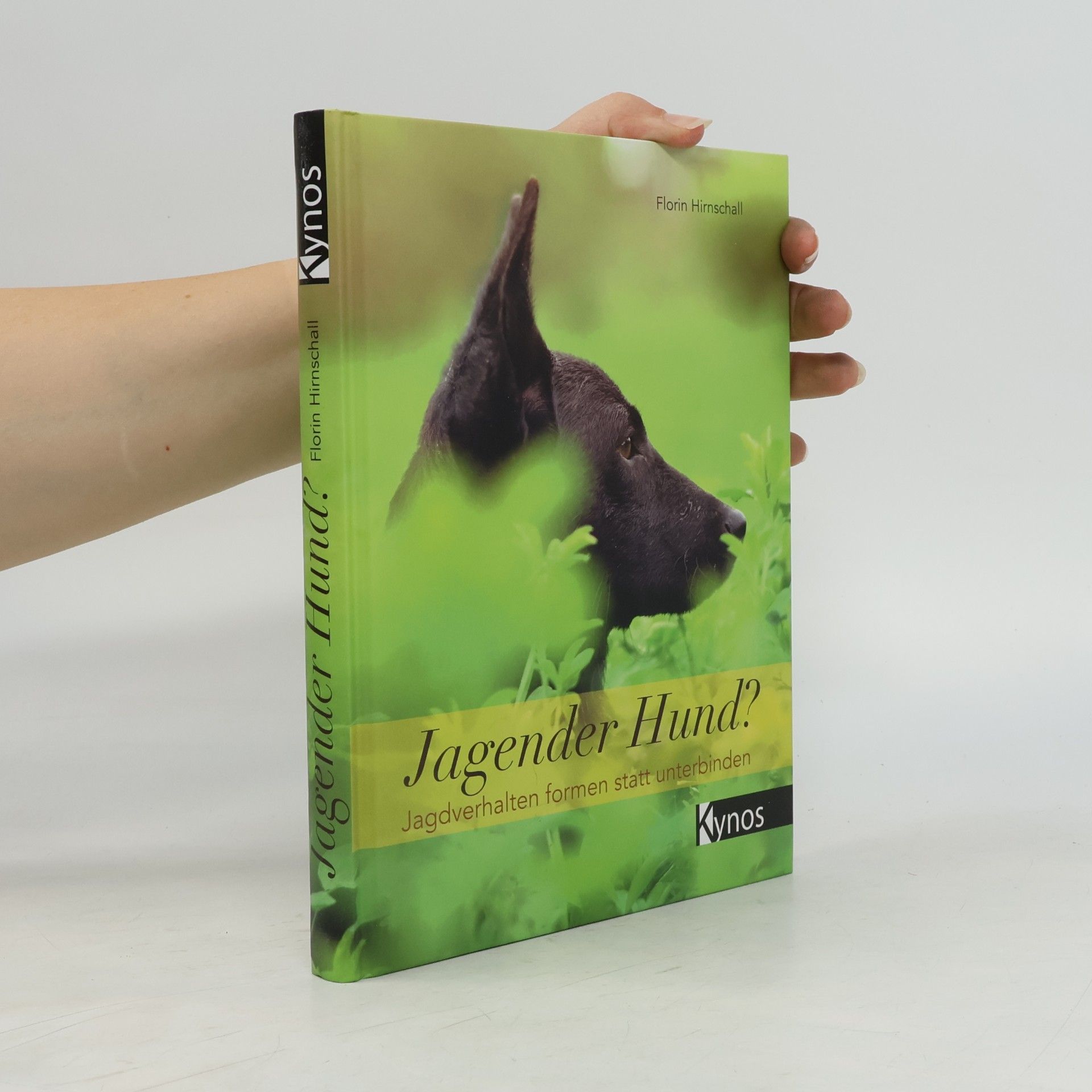 Florin Hirnschall Jagender Hund?