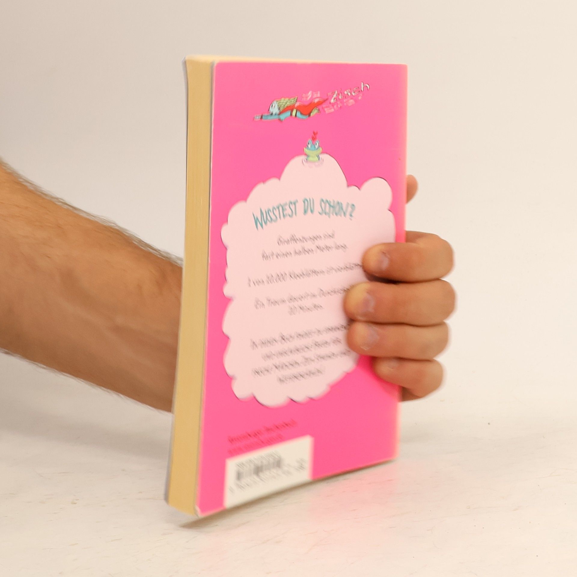 Lottie Stride Verrückte Fakten für freche Mädchen