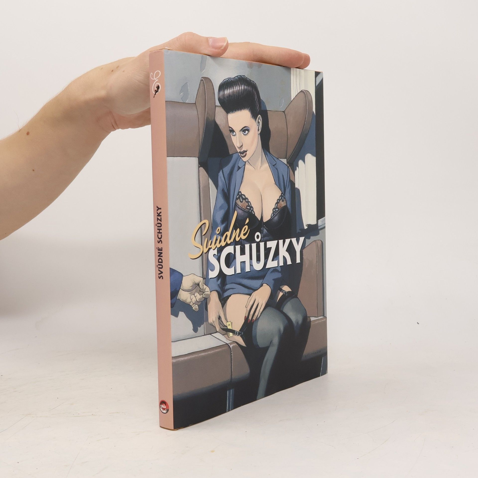 Kolektiv autorů Svůdné schůzky