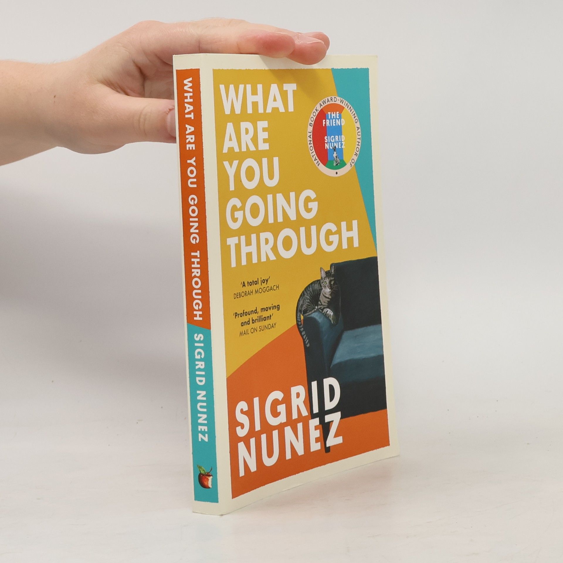 Sigrid Nunez What Are You Going Through